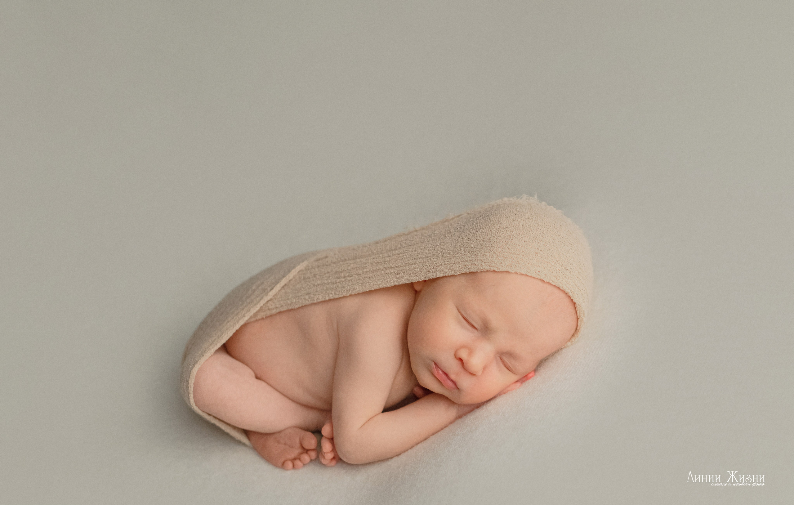 Анна 24 дня. Фотограф новорожденных в Нижнем Новгороде Сергеева Оксана