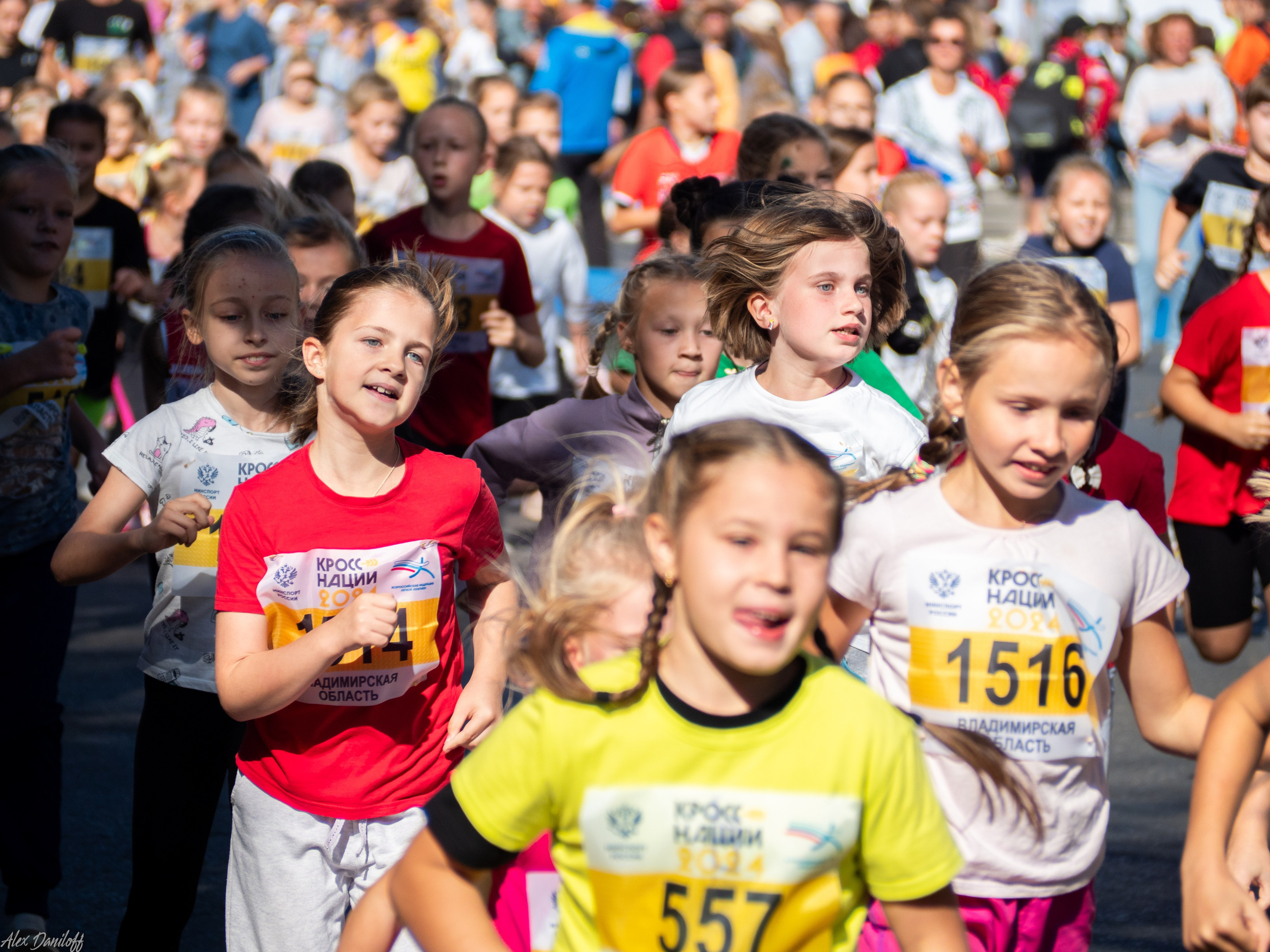 Кросс нации 2024. Муром-Инфо. Новости культуры, образования, спорта в городе Муром