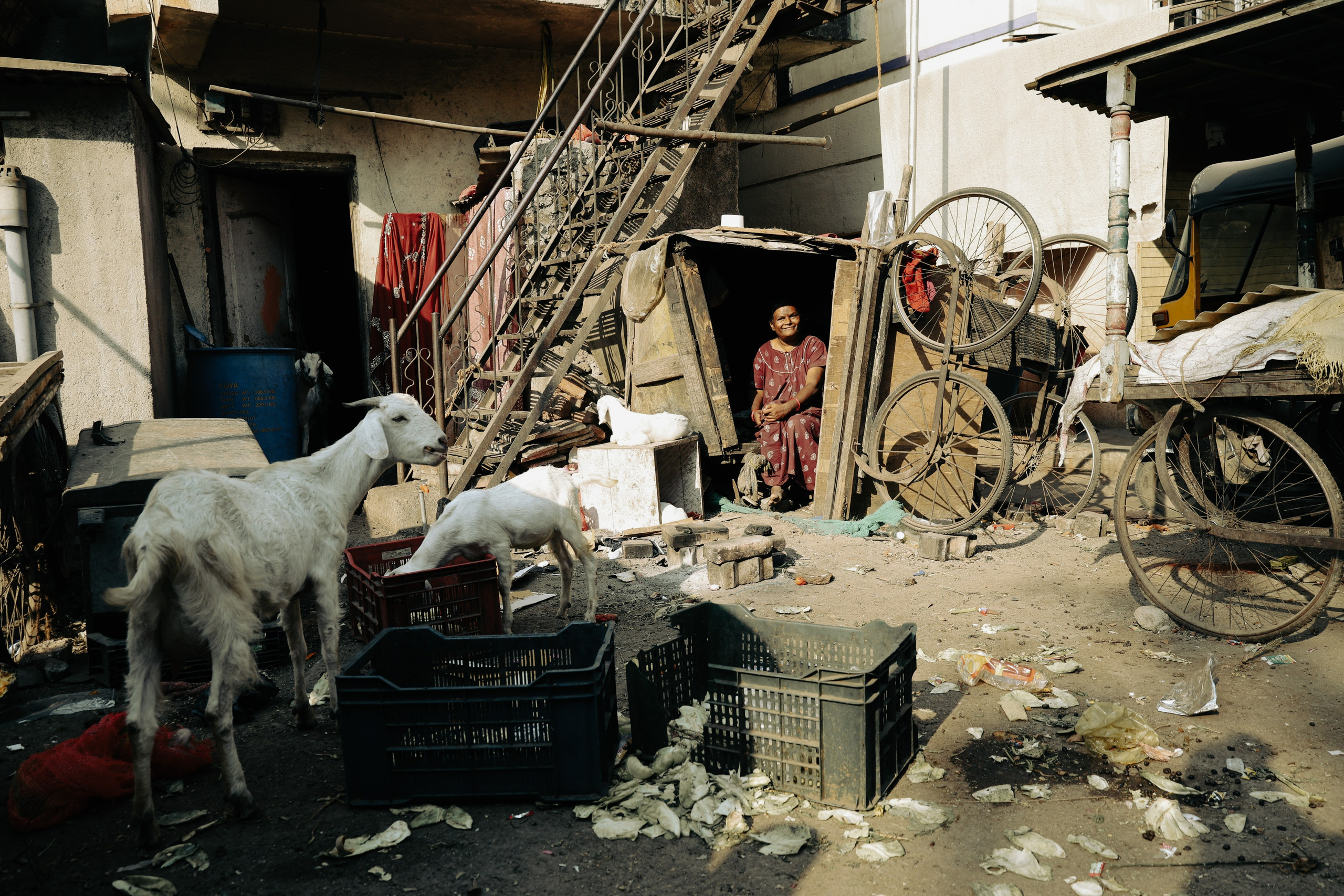 India. Фотограф в Москве