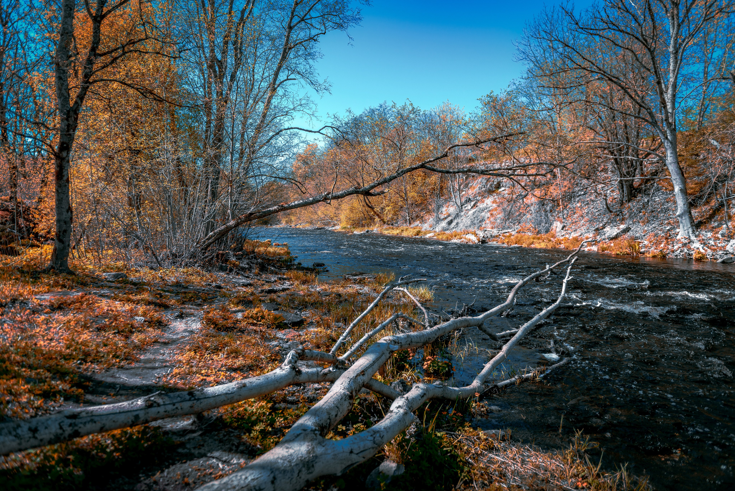 пейзаж речка водопад 