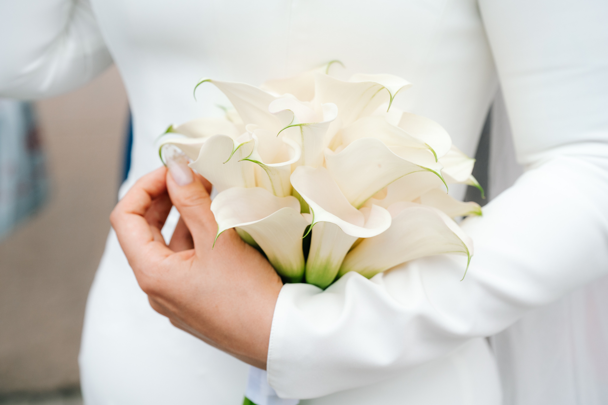 Настя и Максим. Свадебный видеограф в Москве Никонова Анна