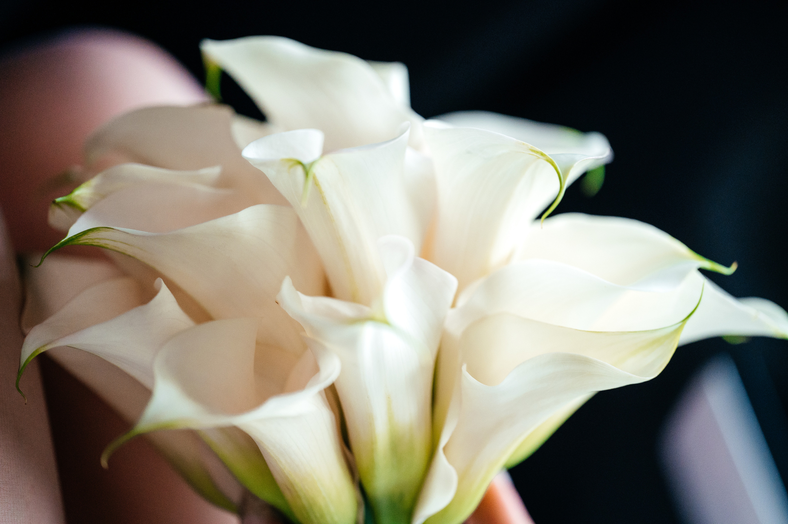 Настя и Максим. Свадебный видеограф в Москве Никонова Анна