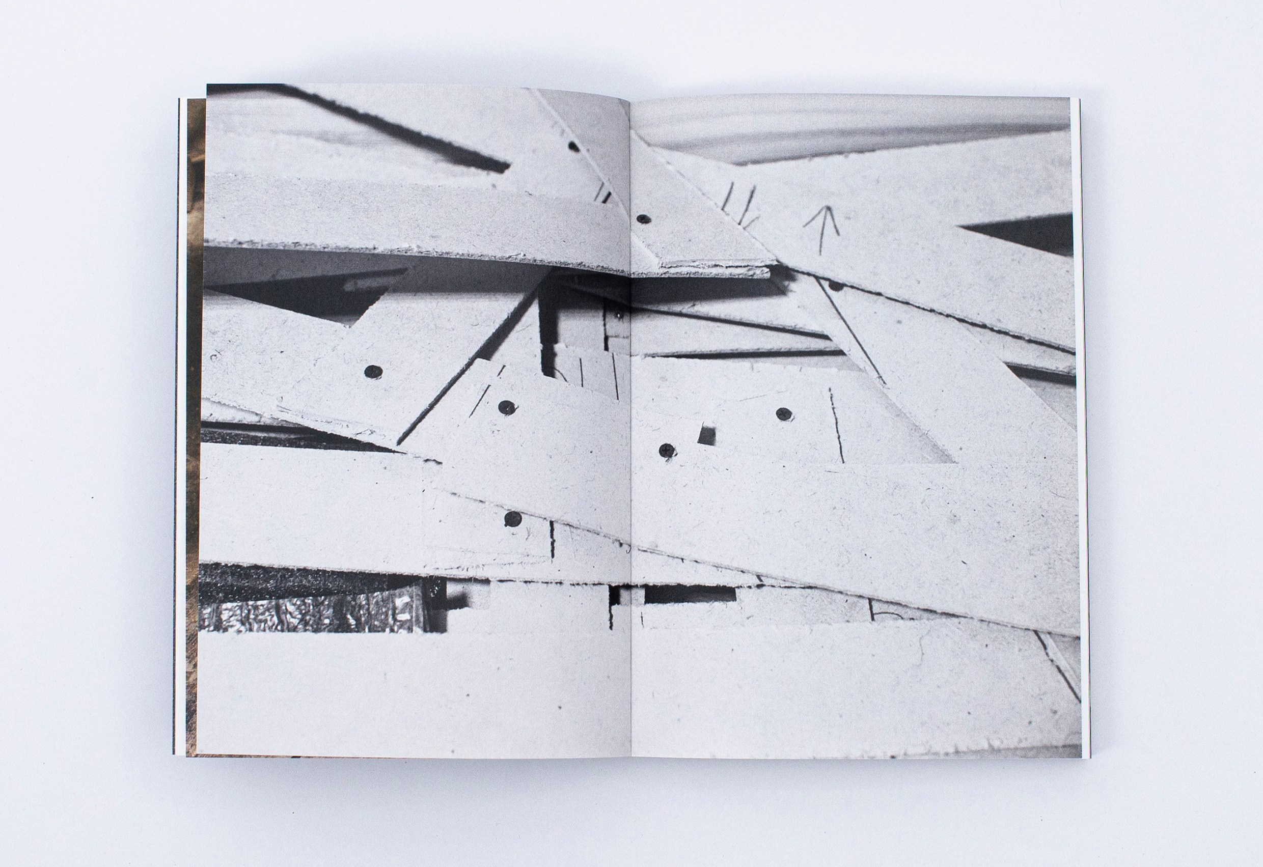 Книга. Фотограф в Москве Алейникова Евгения