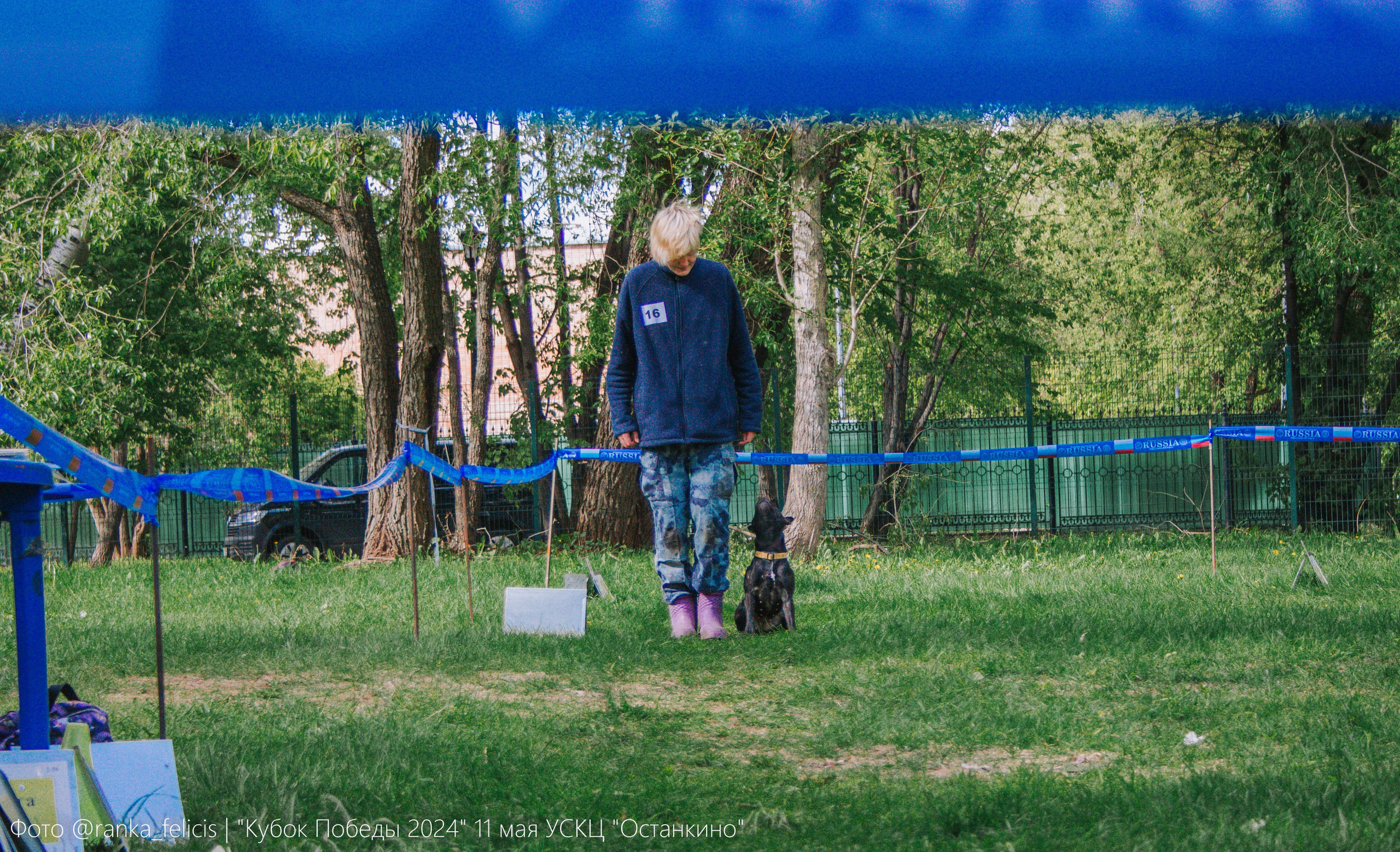 Тсахик. BLGKV питомник собак