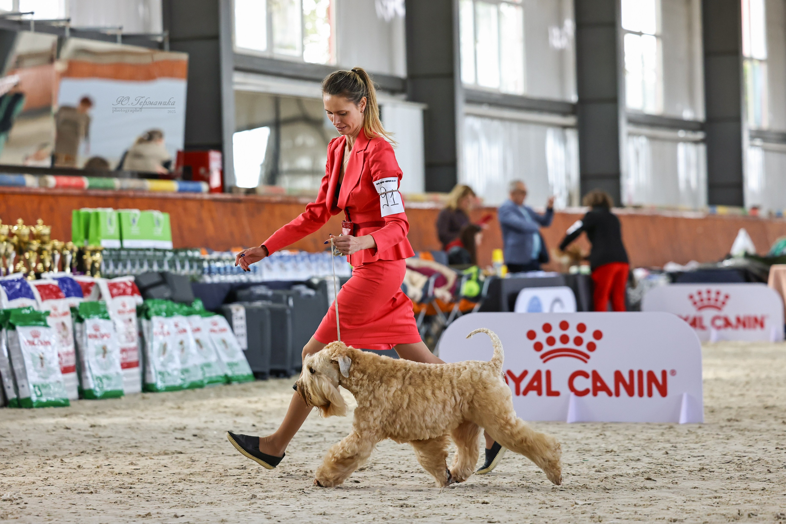 Астана 2хCACIB 26-28.09.2025. Фотограф-анималист Юлия Германика