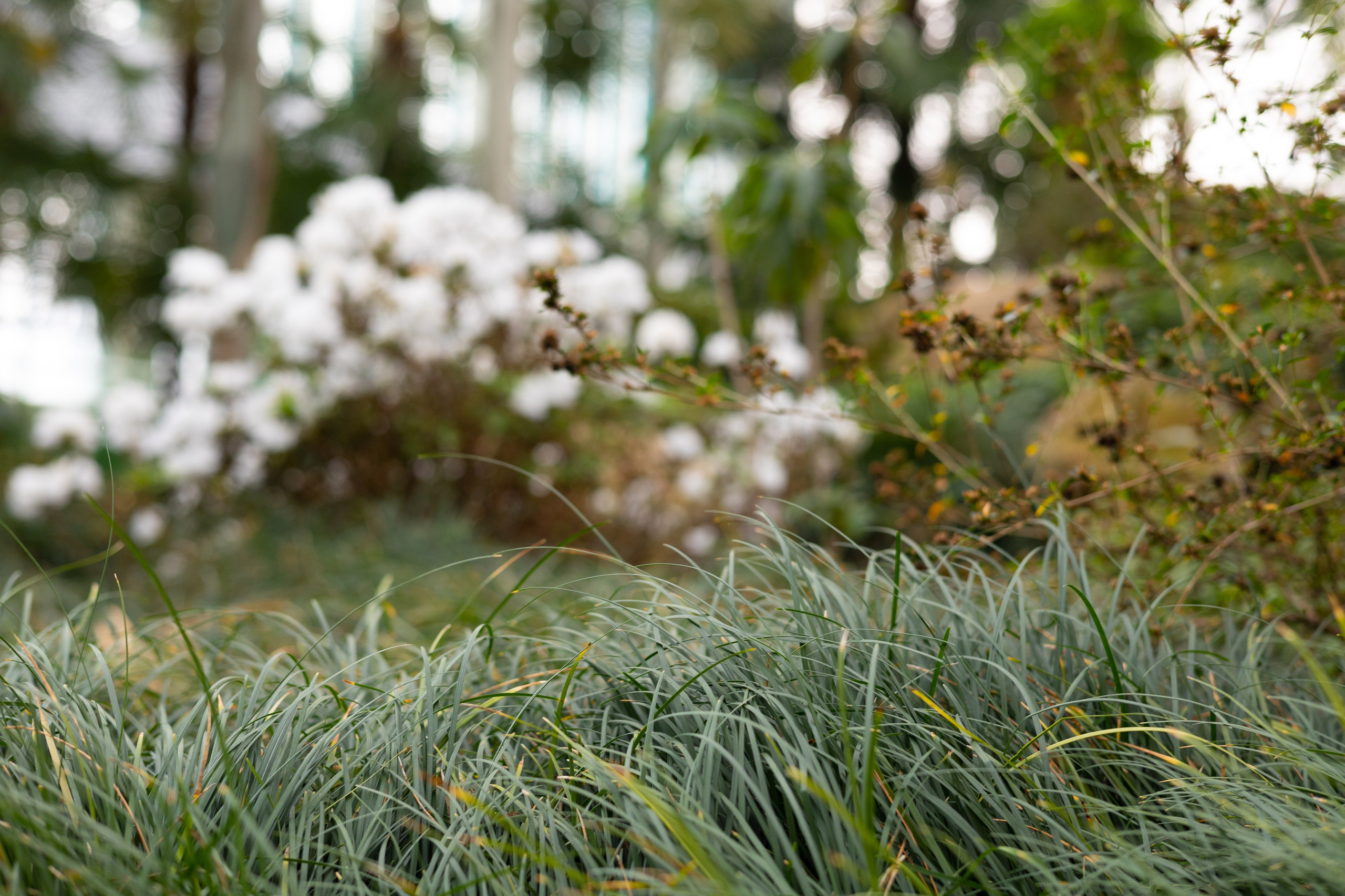 Secret Garden. ITMAG.ME | Visual Art