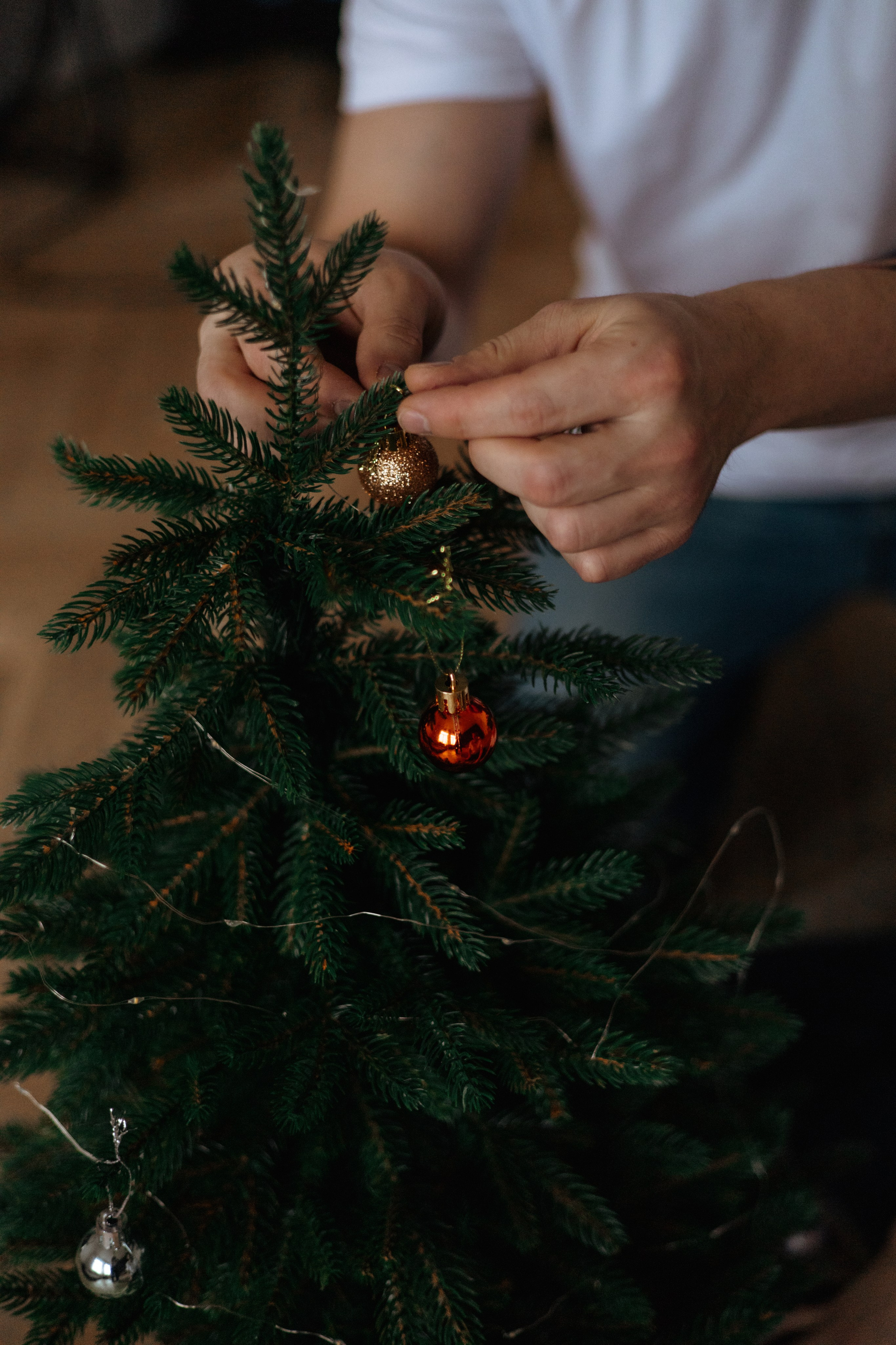 Семен, Даша и Федя. В ожидании малышки Вики. Главная