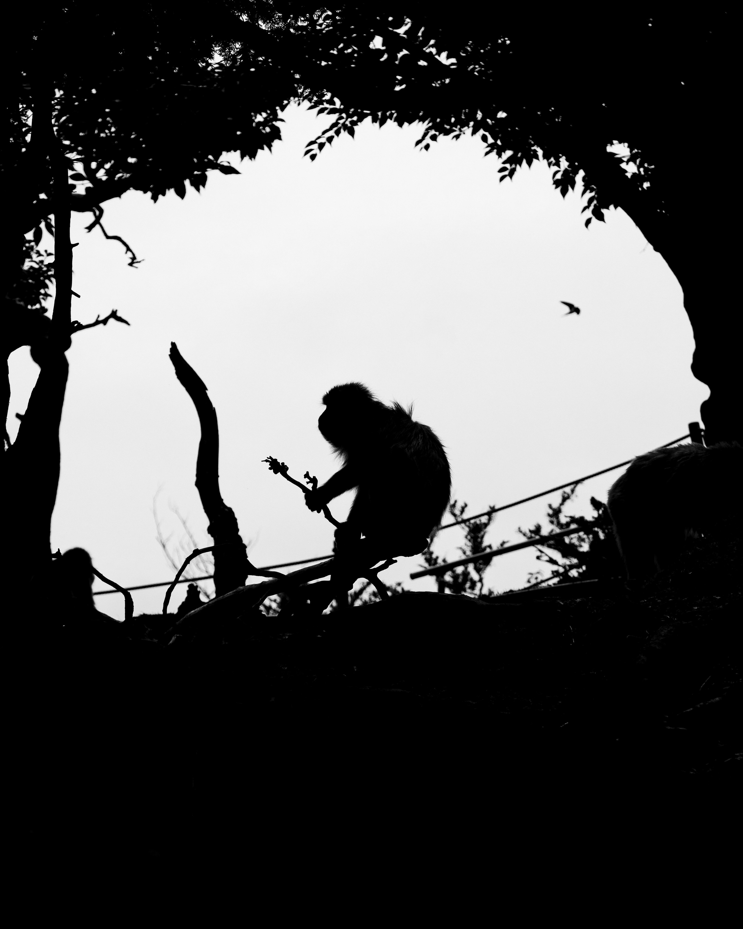 Япония. Фотограф Павел Подшивалов