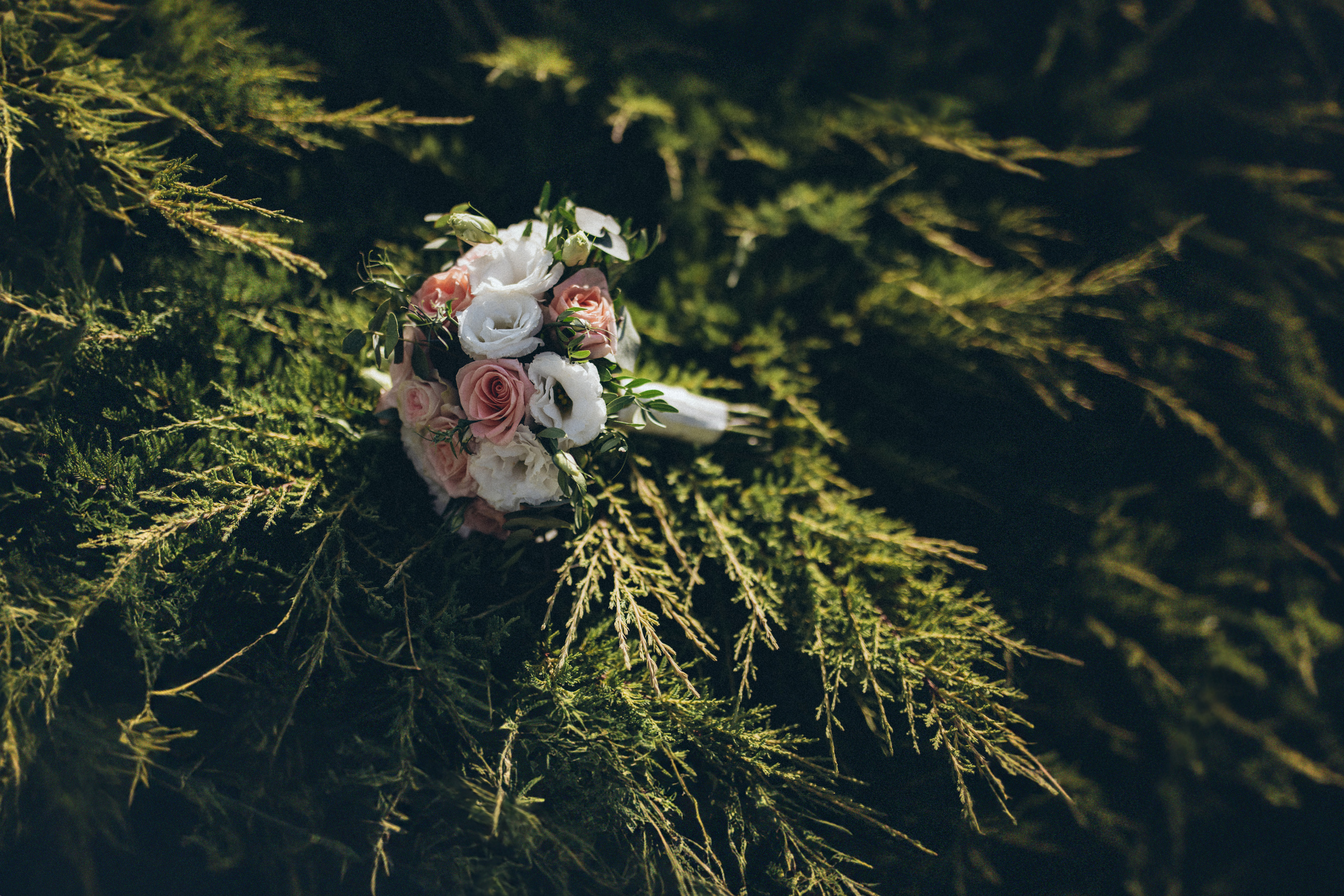 Таня и Илья. Фотограф в Севастополе и Крыму Горбунов Денис