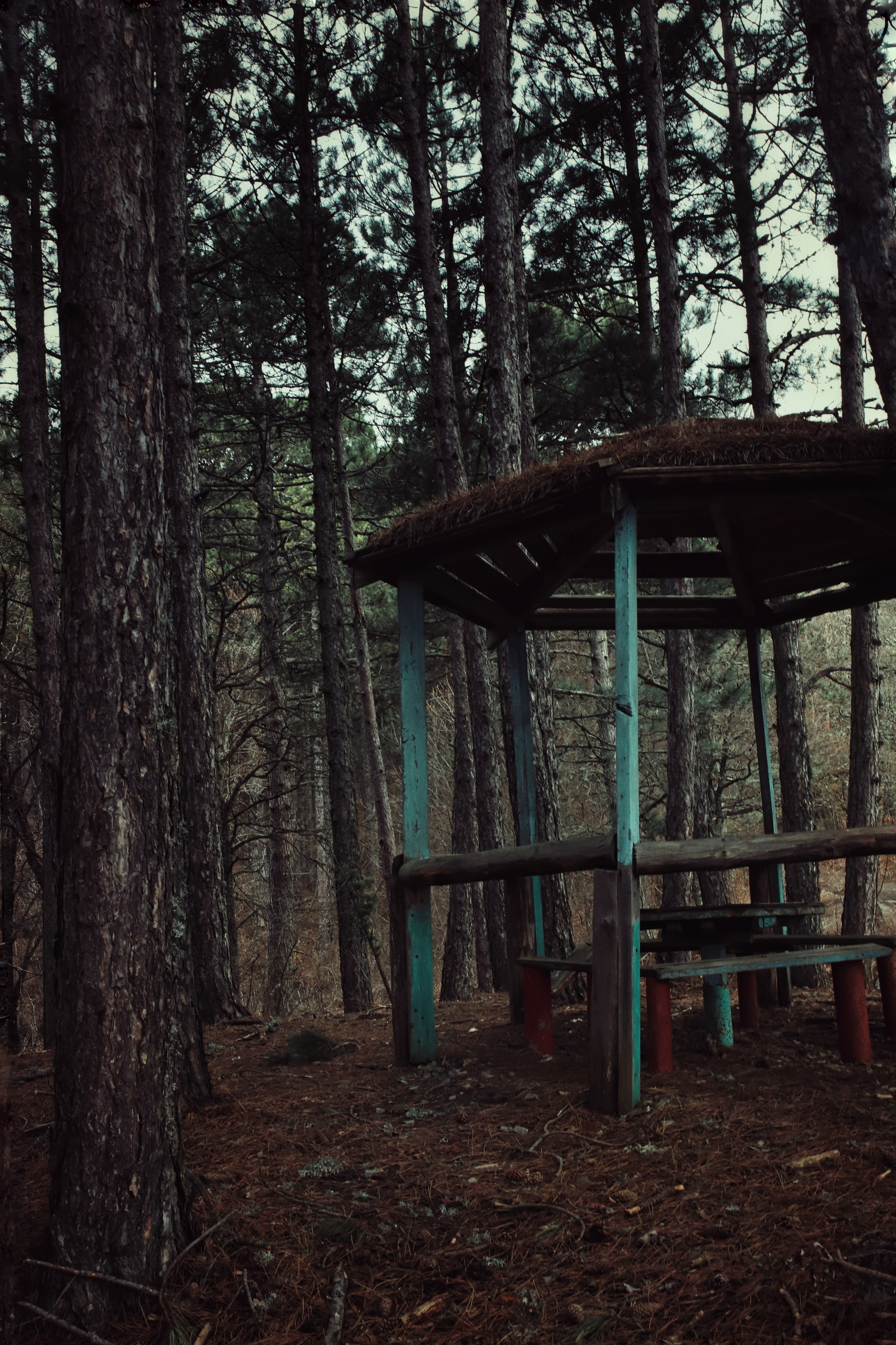 Бирюзовое озеро. Фотограф и видеограф в Санкт-Петербурге