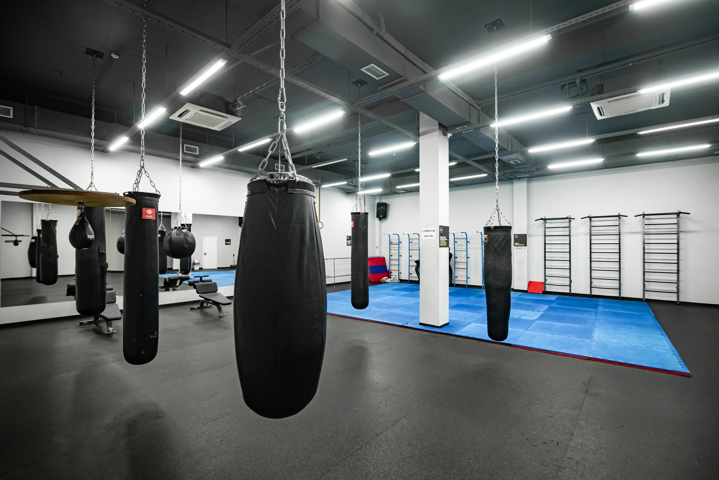 Alex Fitnes. Главная