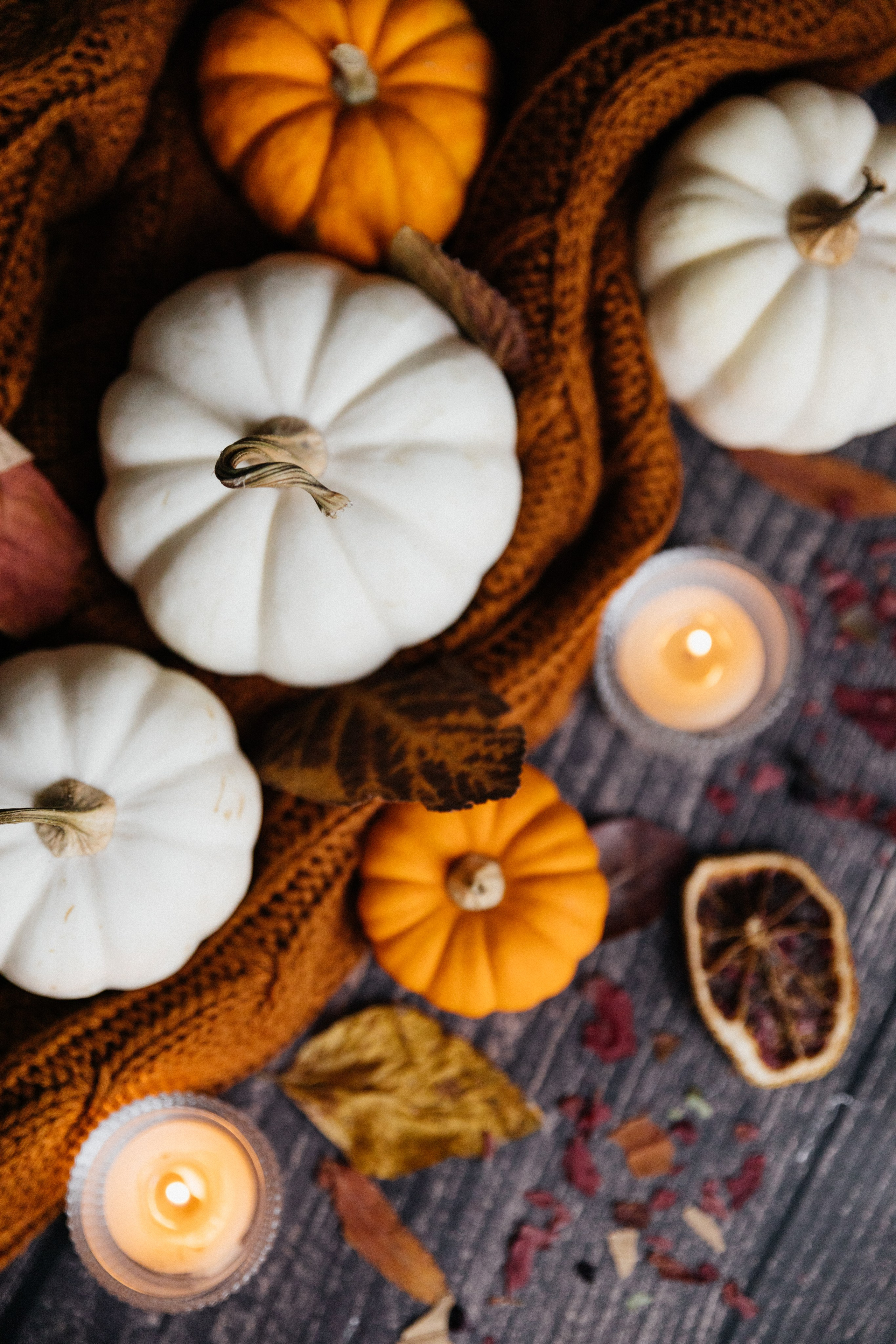 Тыквы. Свадебный и портретный фотограф в Новокузнецке Екатерина Авдеева