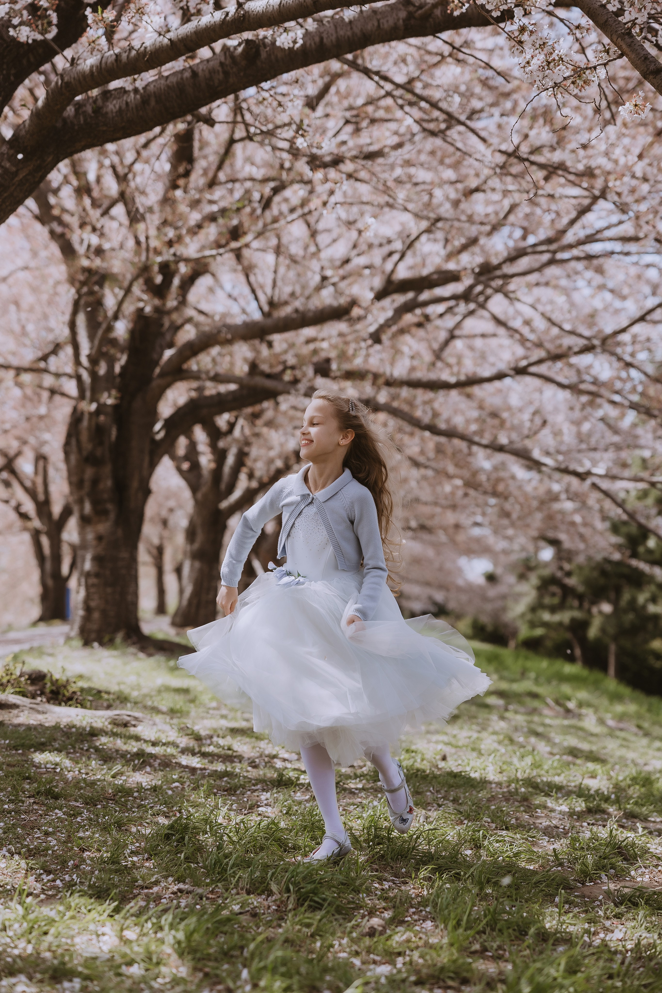 Beautiful girl at a photo shoot with sakura in Korea, Busan. Your photographer in Busan (South Korea) Aleksandra Anufriy