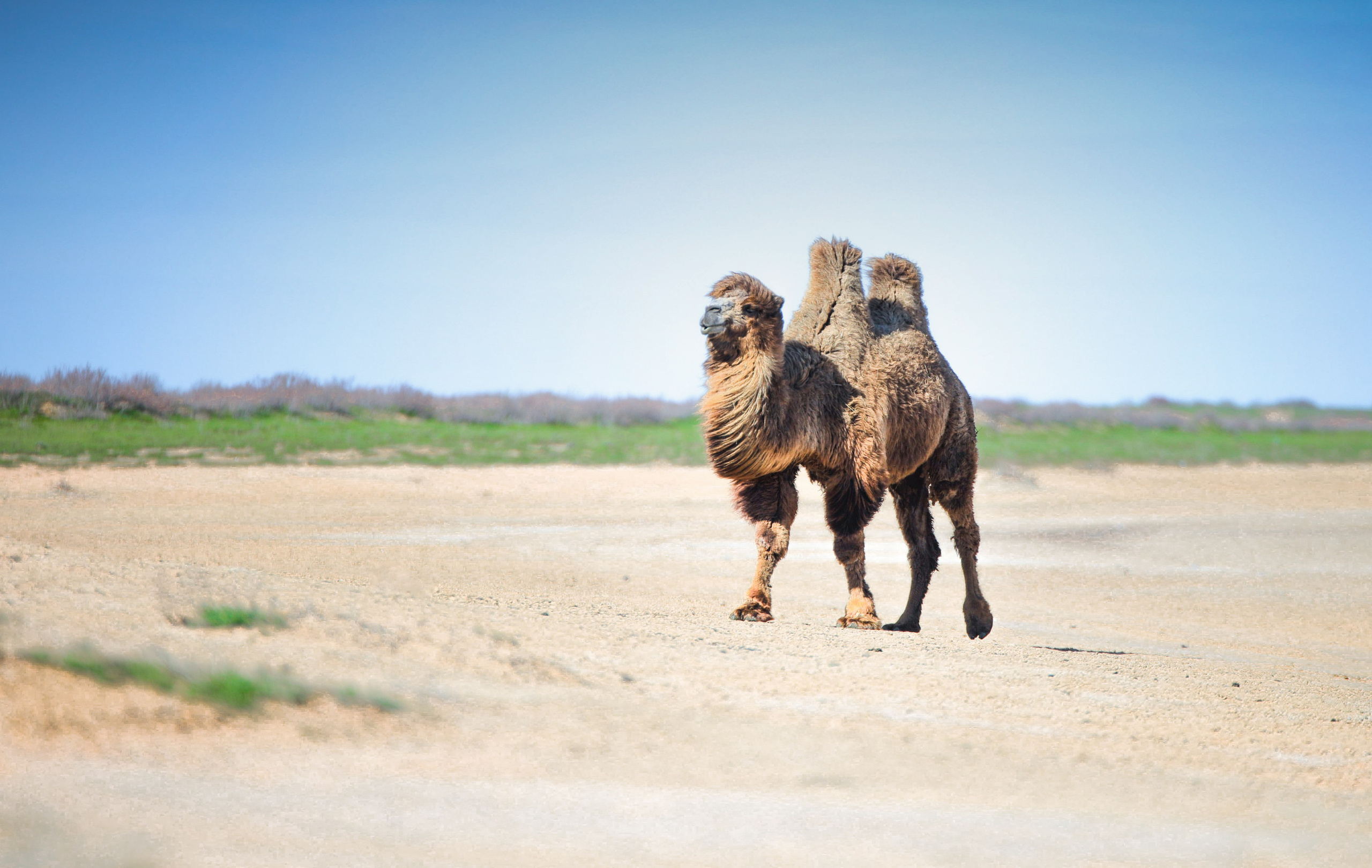 Природа. Глеб Захаренко — спортивный и репортажный фотограф в Крыму