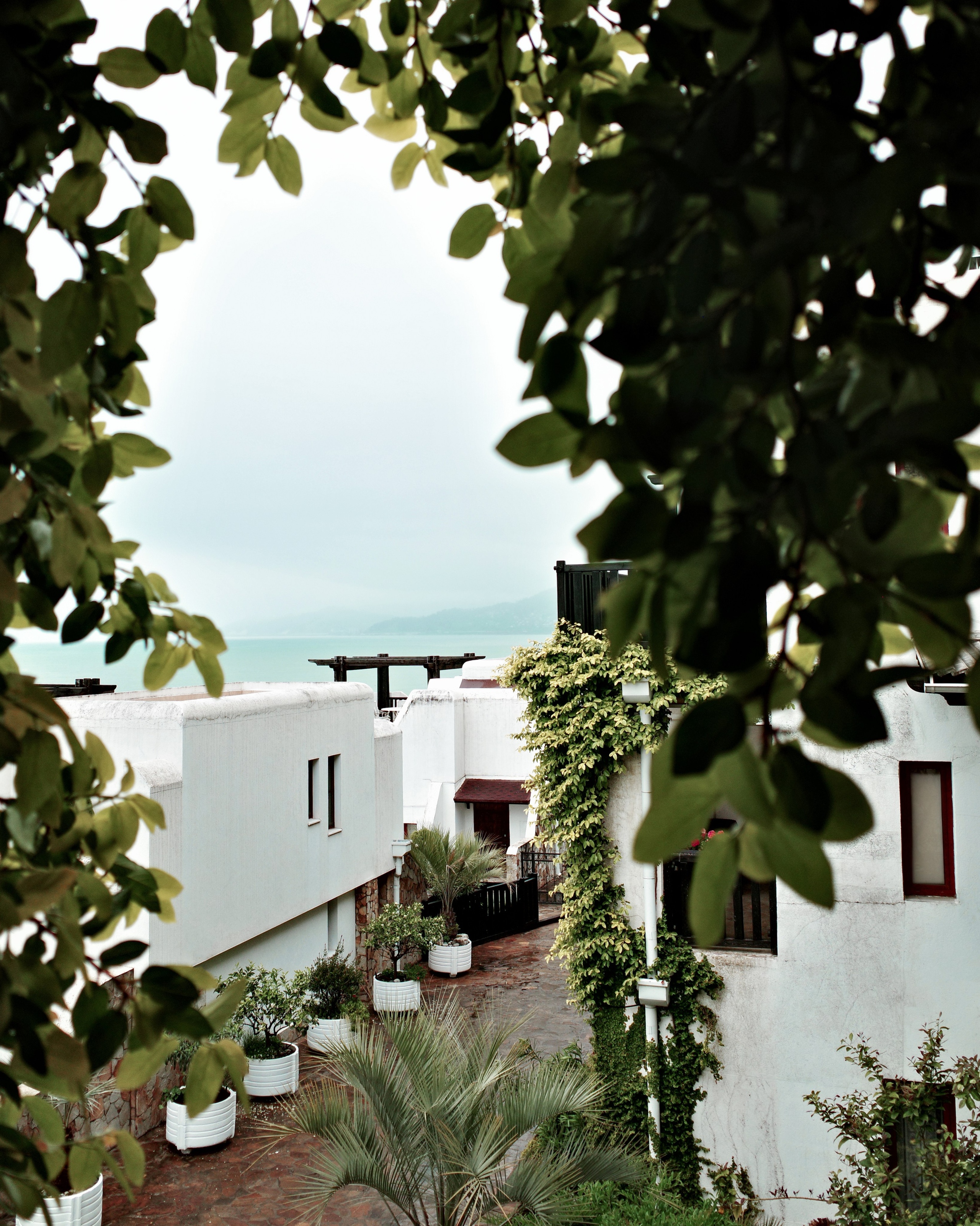 BY THE SEA. Anne Demia