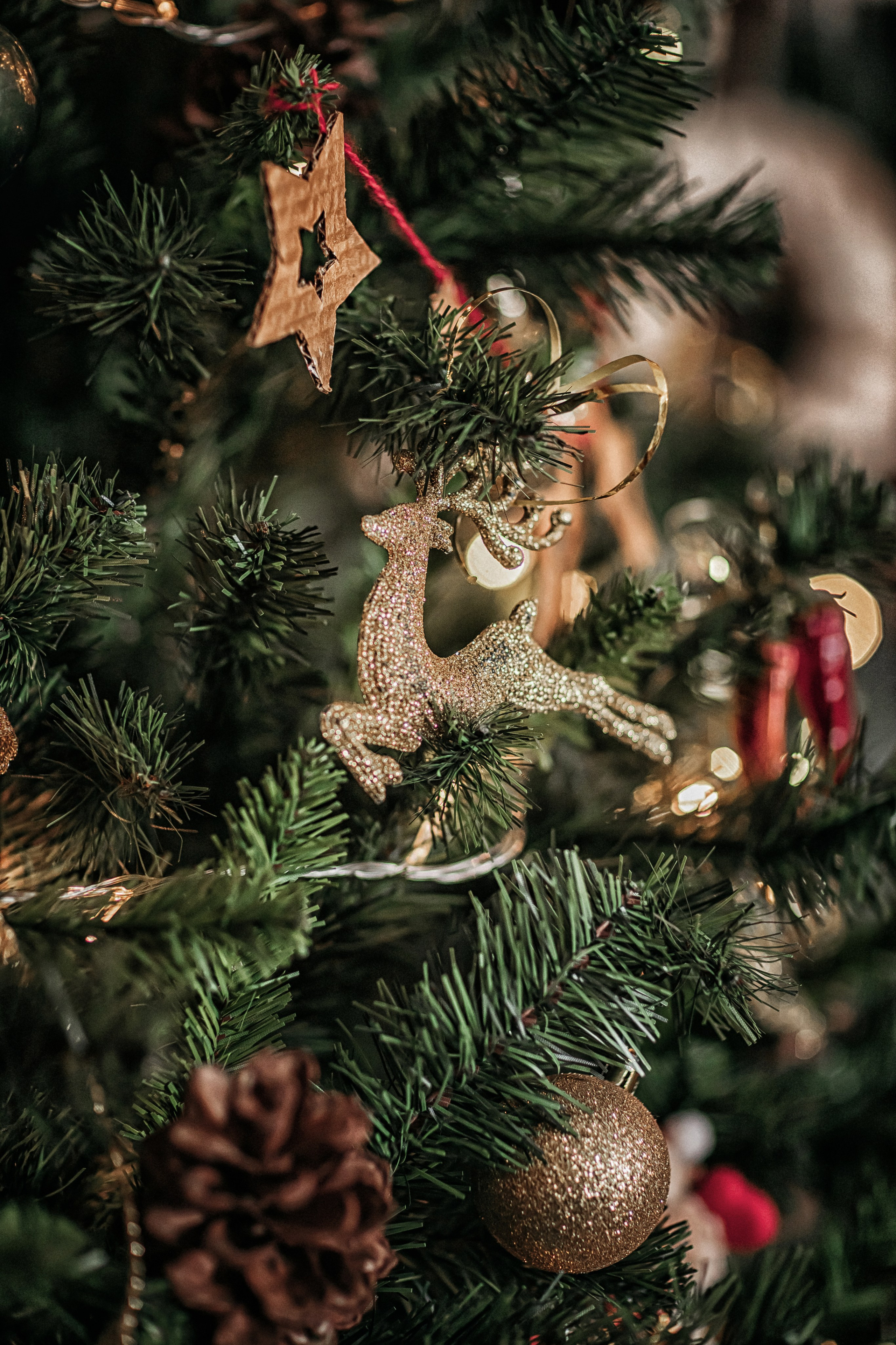 Письмо Деду Морозу. Фотограф в Канске Нина Пуряева