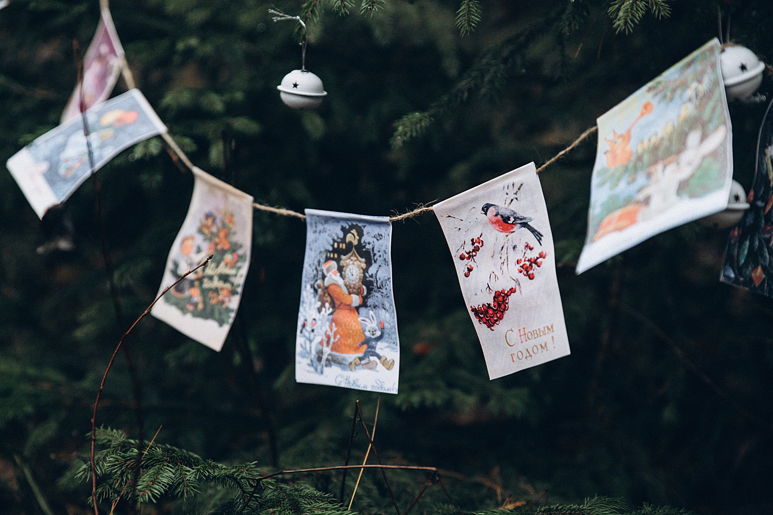 Елка в лесу. Репортажный и детский фотограф в Минске