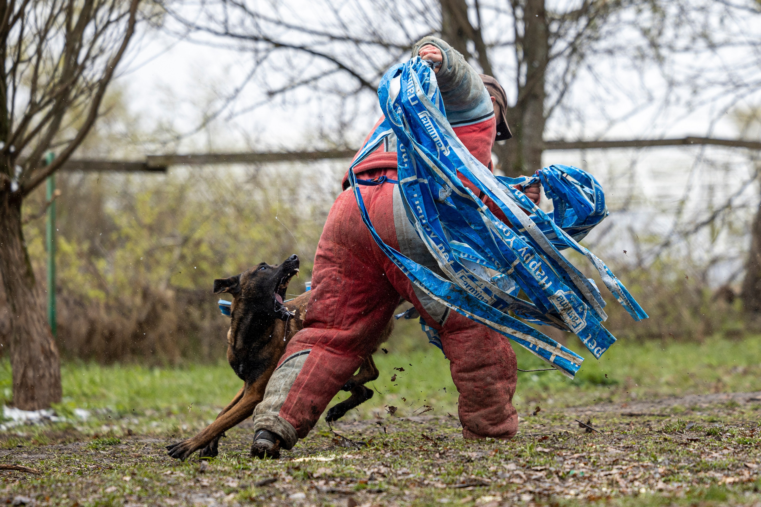 Квалификационные состязания по мондьорингу г. Вологда 11.05.24. Фотограф-анималист Анна Маринич