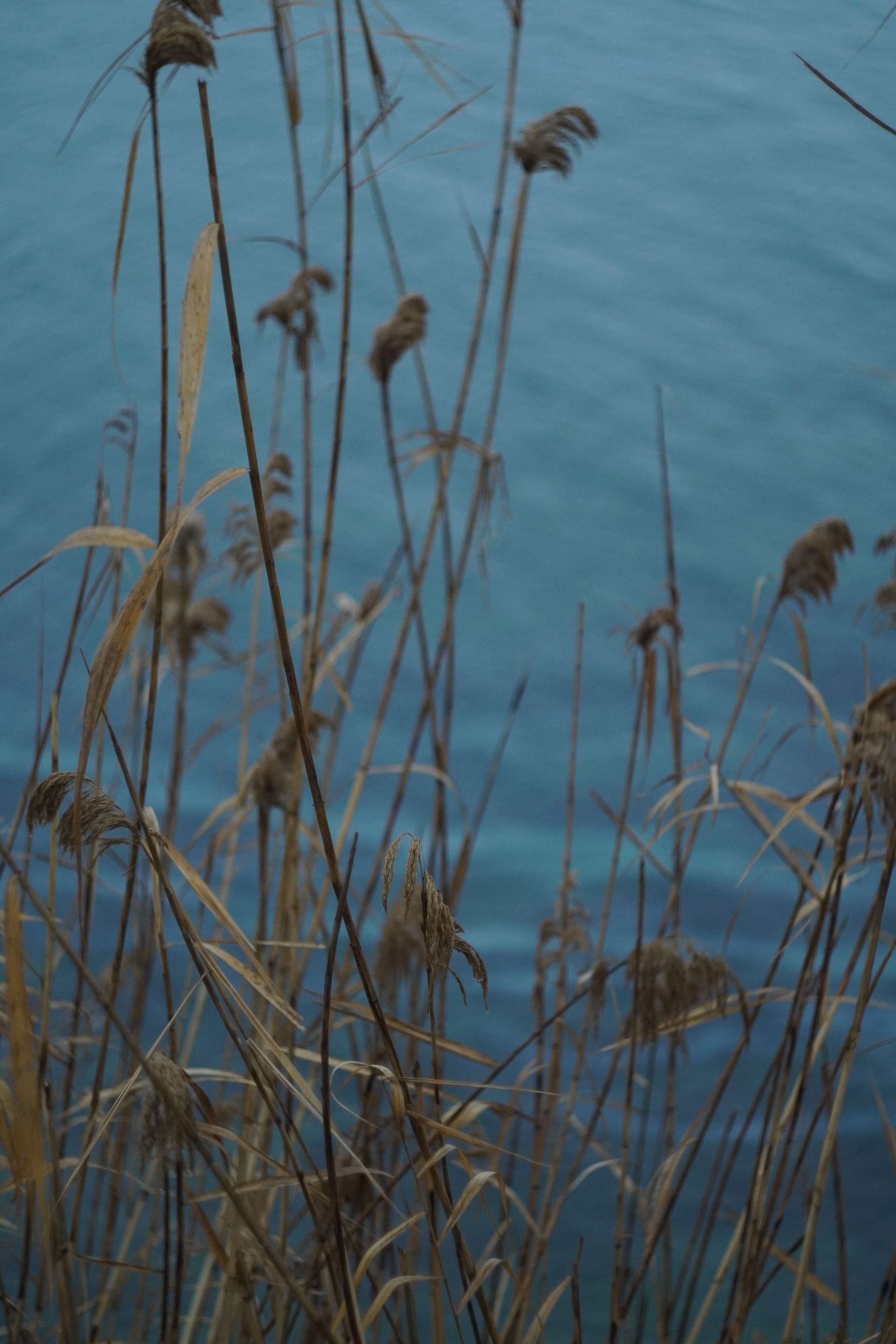 Художественный фотограф в Тюмени Валерия Шульман