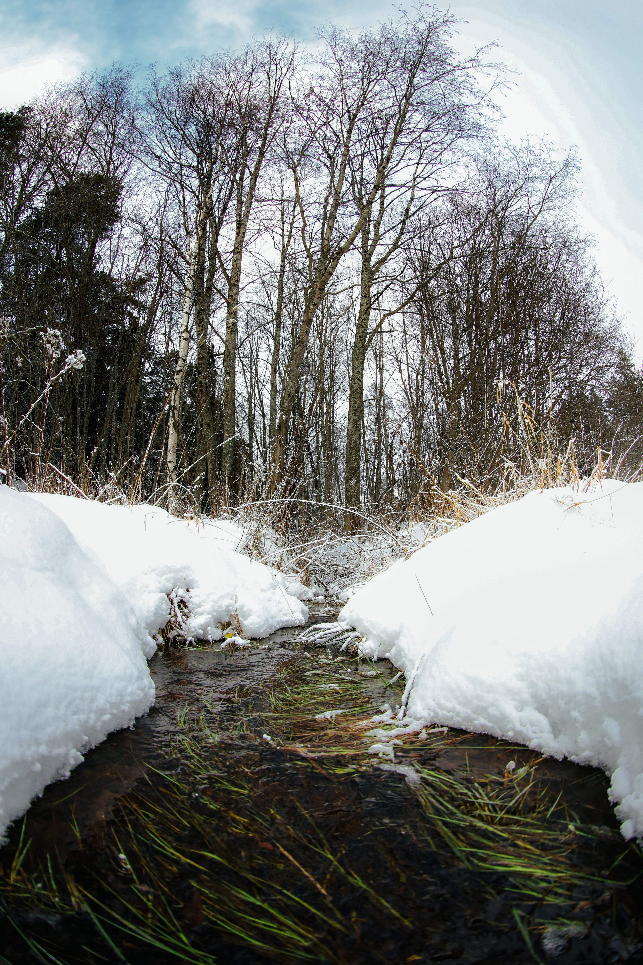 Природа. Трандин Иван Фотограф СПб