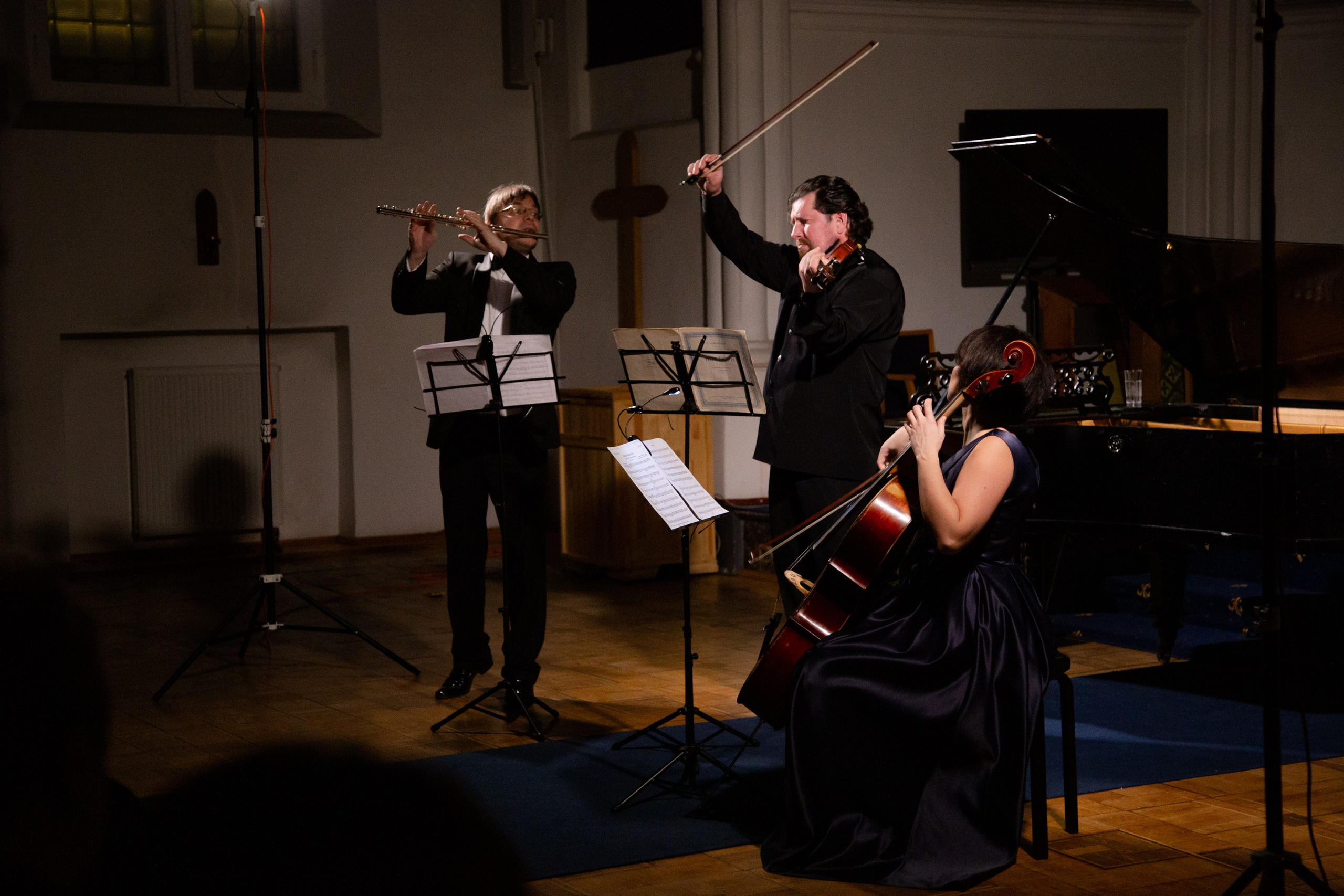 Концертная съемка