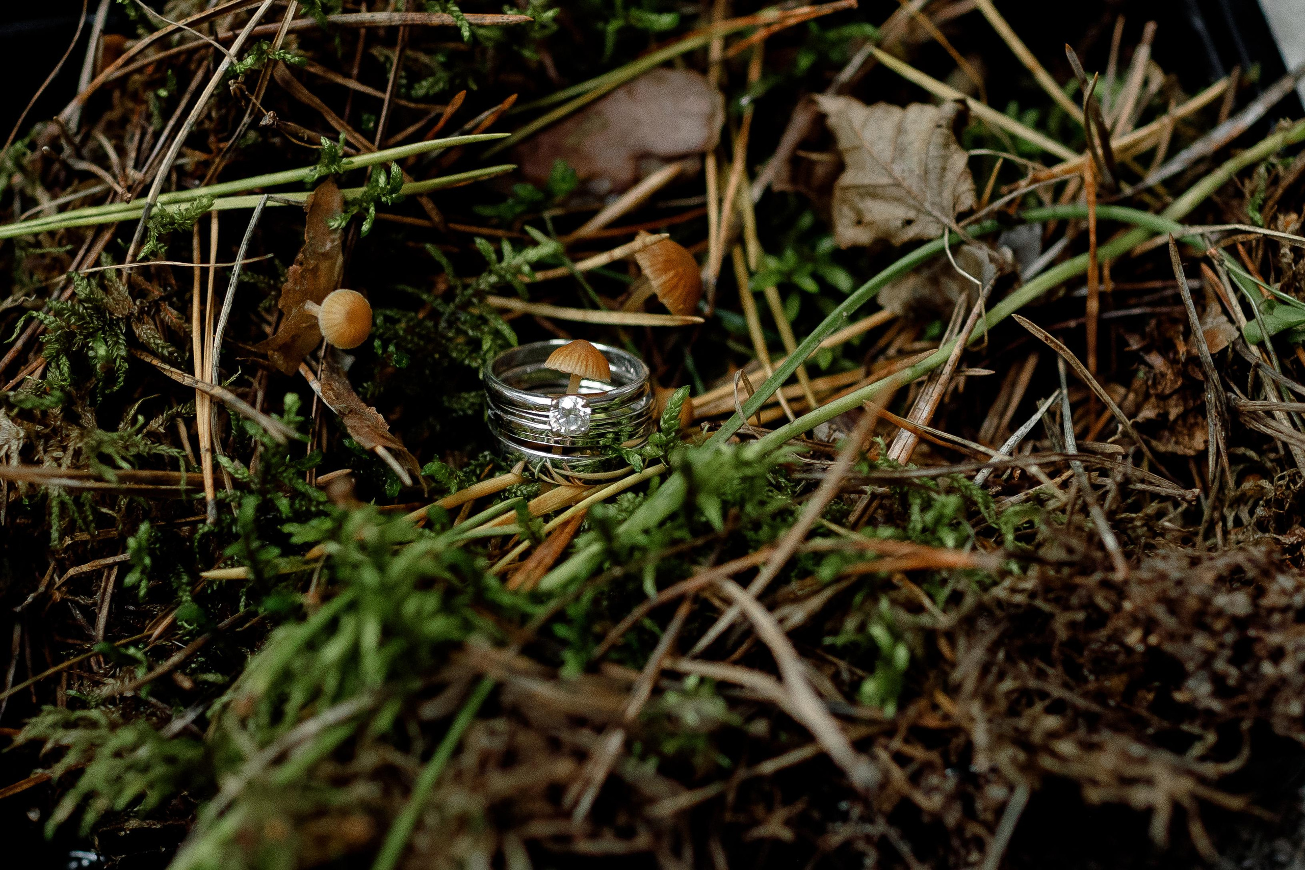 Сергей и Оля. Фотограф Аня Безяева