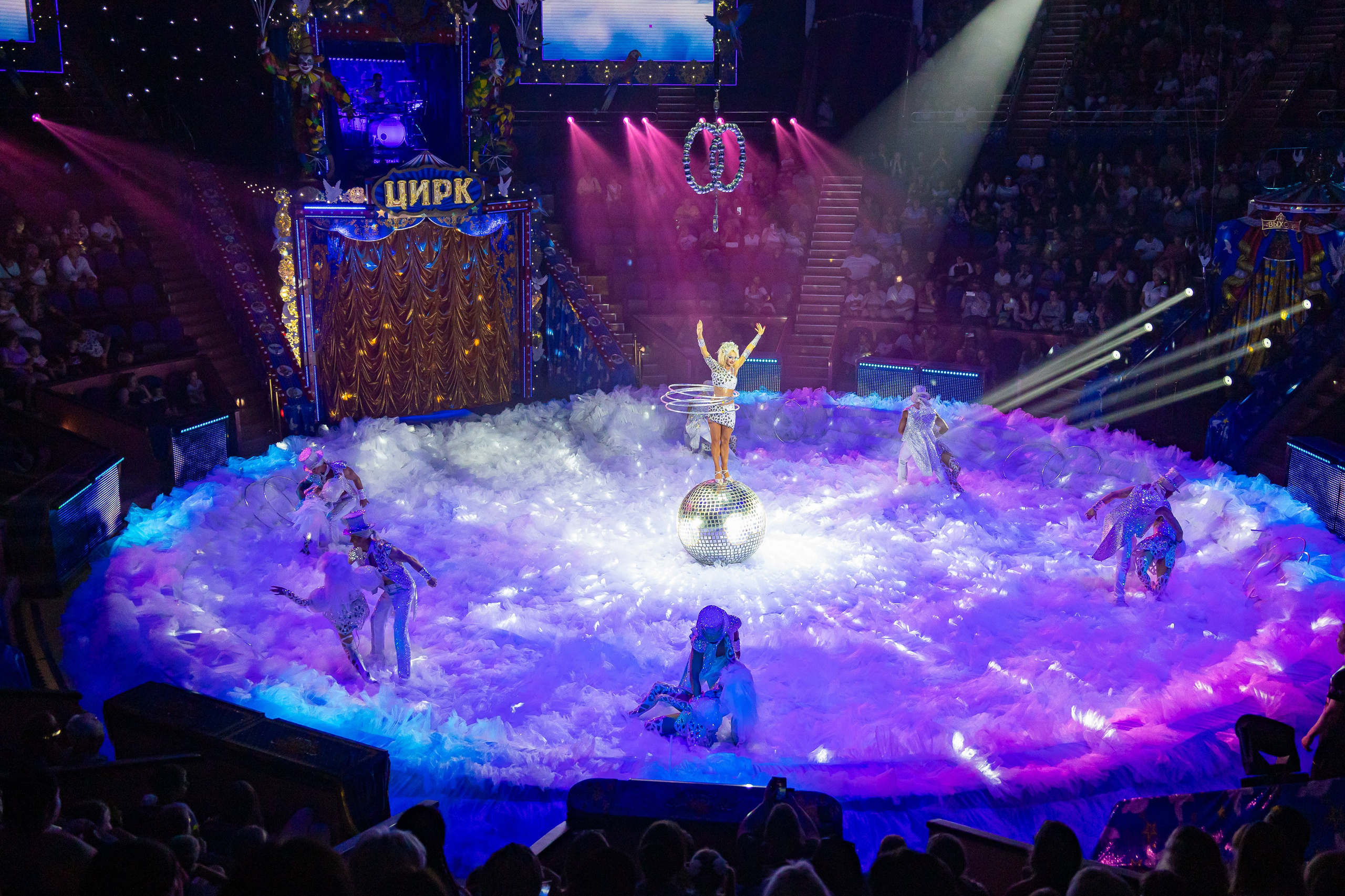 Цирк ГИИ ЭРАДЗЕ. Семейный и Свадебный фотограф в Сочи