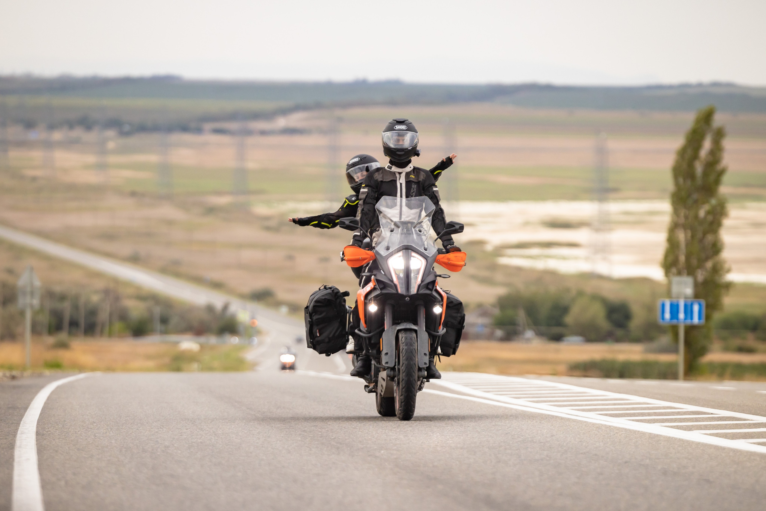 Южное Сафари в Тамани. Сентябрь 2024. Фотограф Владимир Охрименко