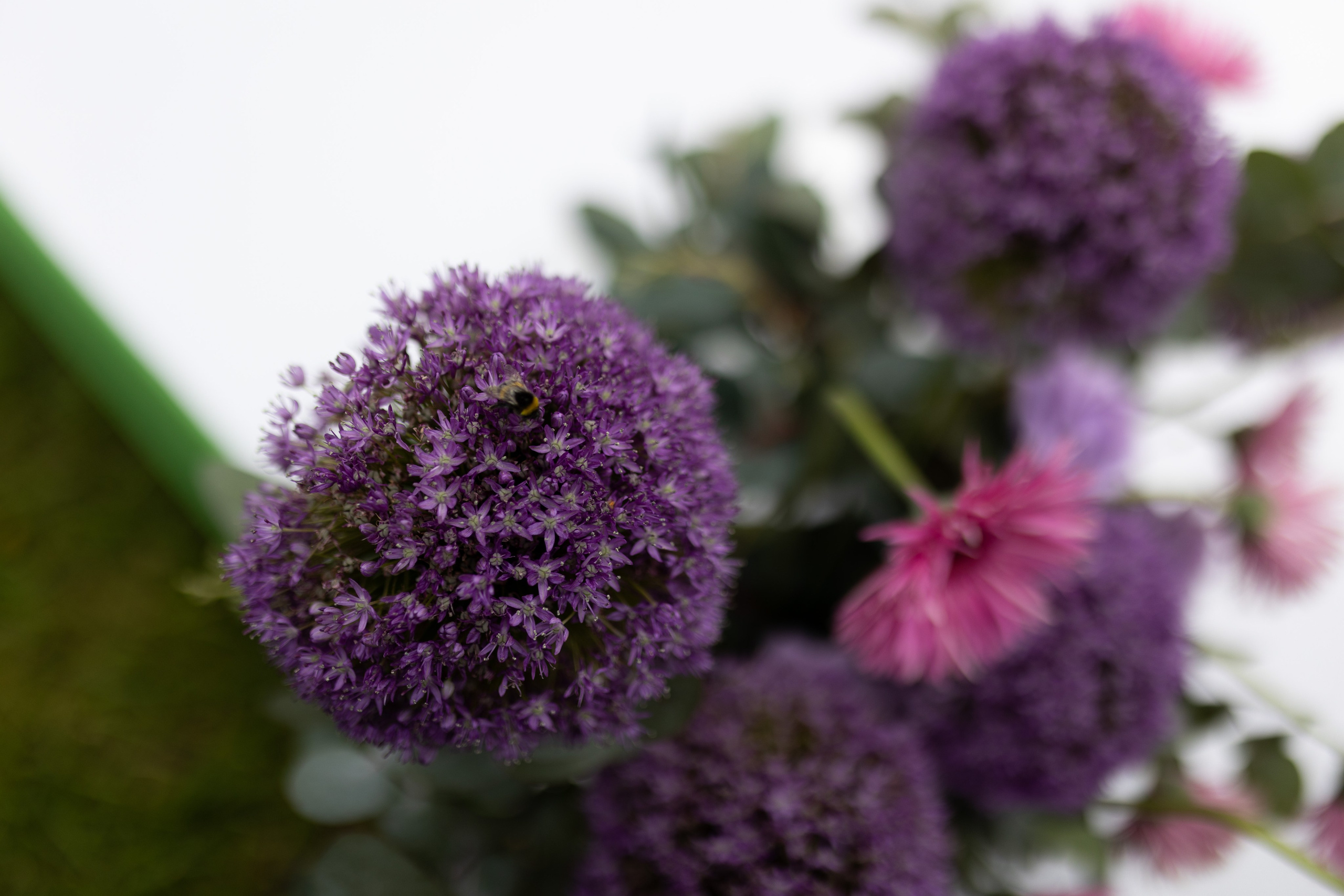 Рома и Настя. Свадебный и семейный фотограф в Новосибирске Наталья Зорина