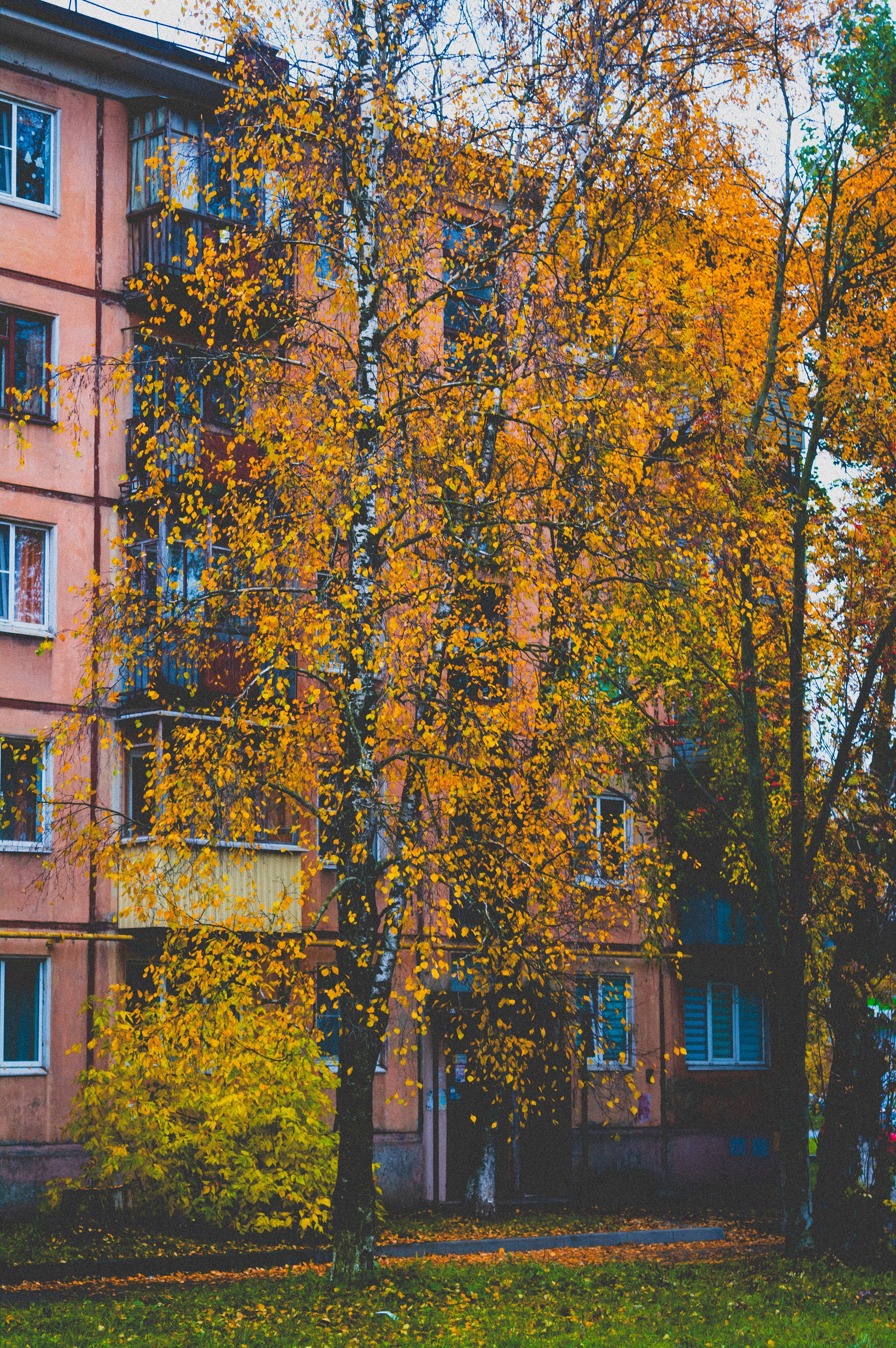 Октябрь 2025. Den Mirov — Фотограф, Музыкант