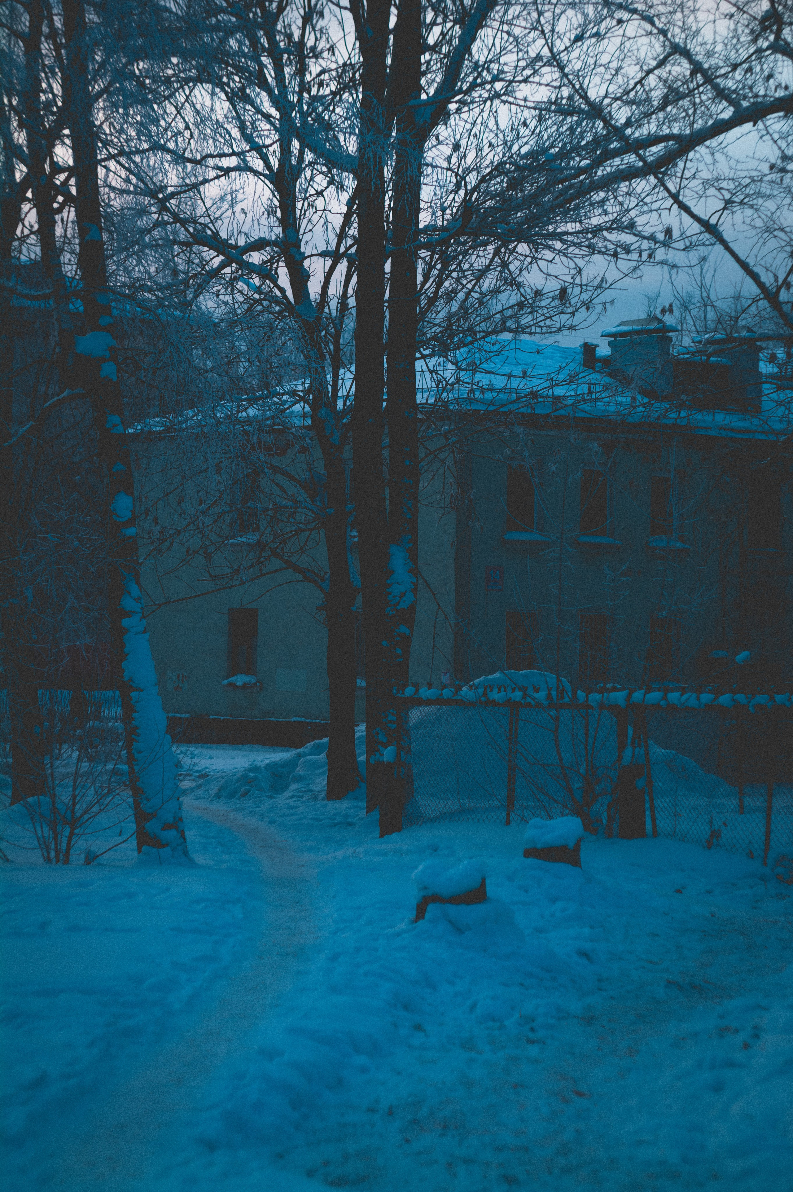 Мороз. Den Mirov — Фотограф, Музыкант