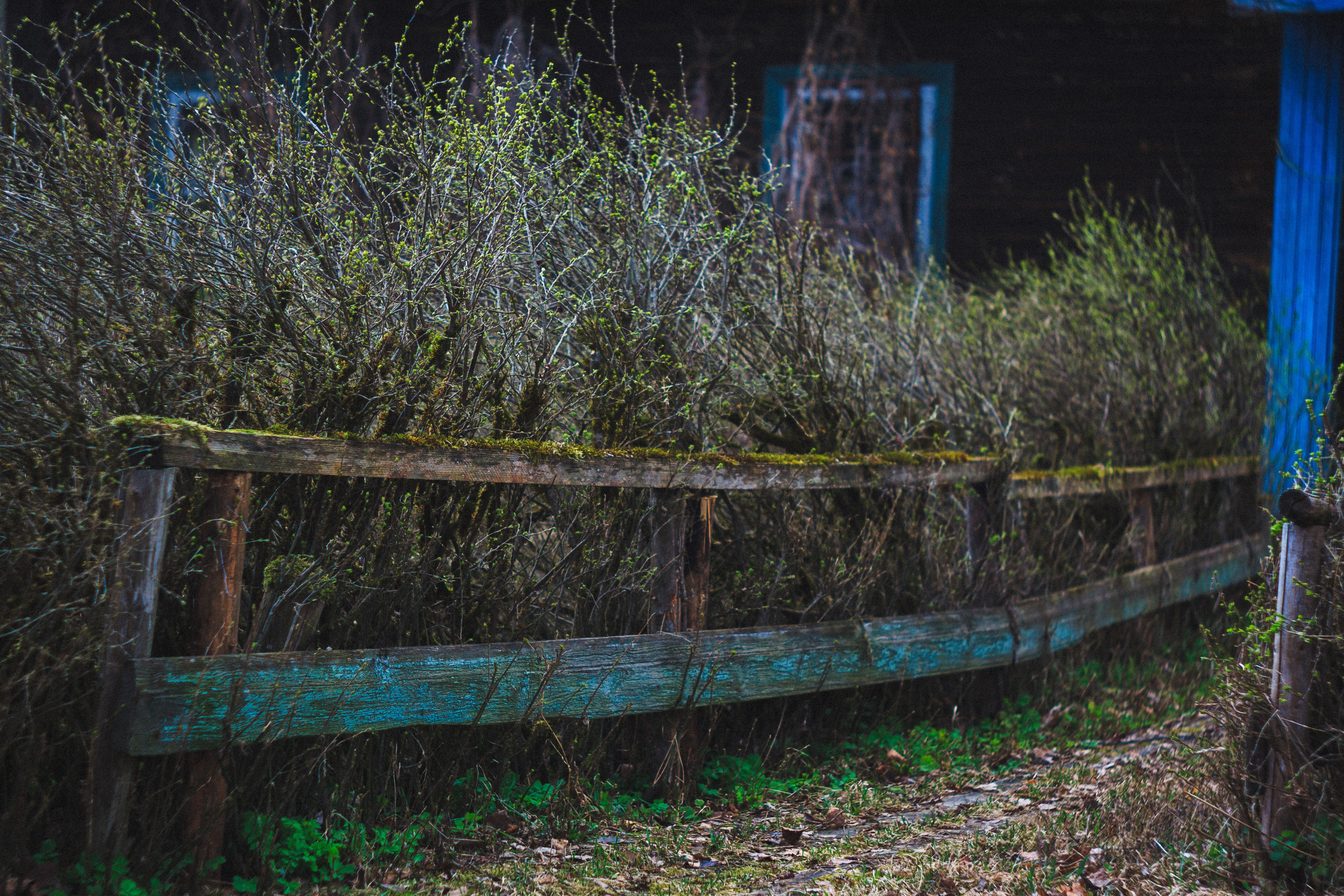 Деревня. Den Mirov — Photographer, Musician