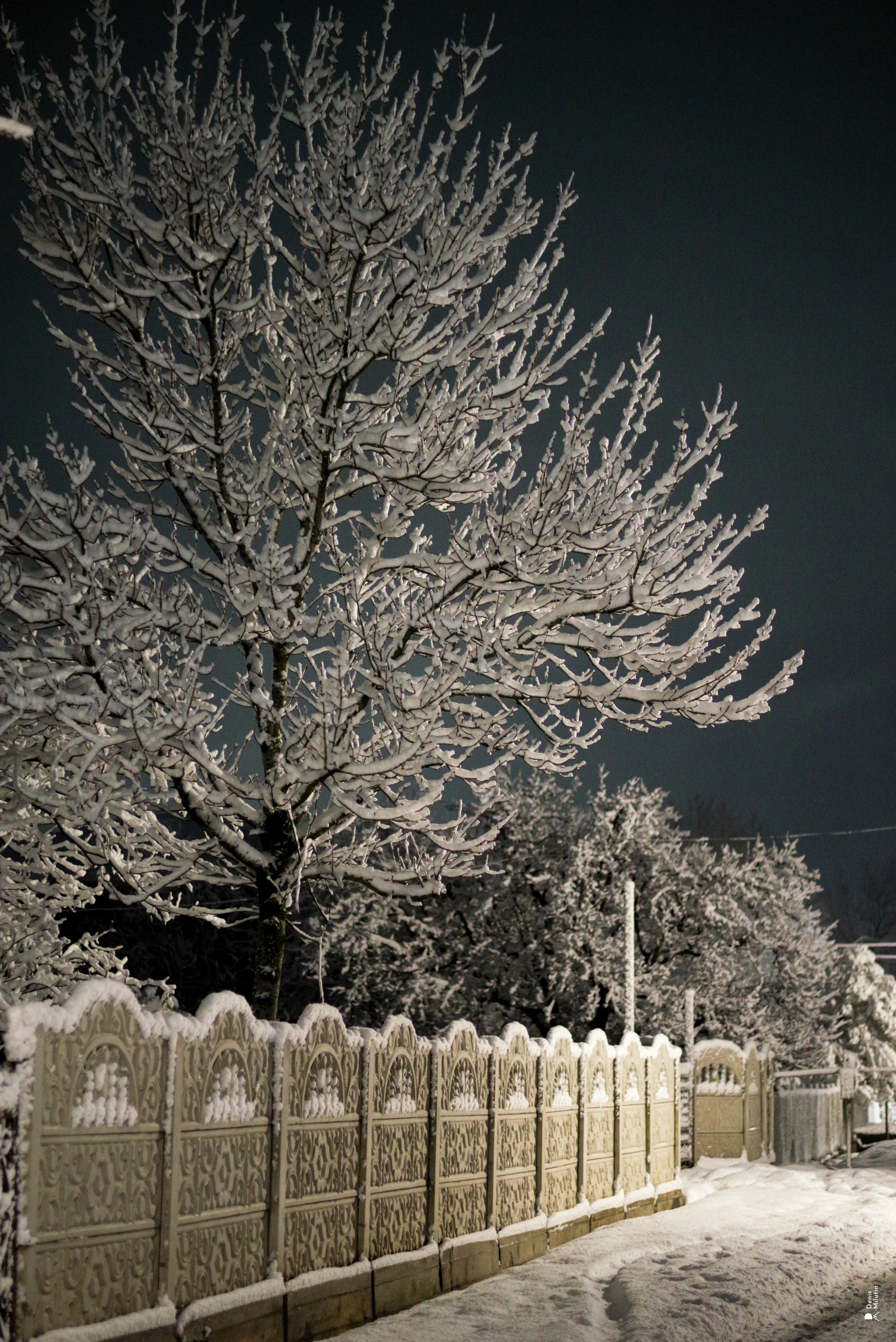 Ночь в Менджи. Портретный фотограф Денис Милютин