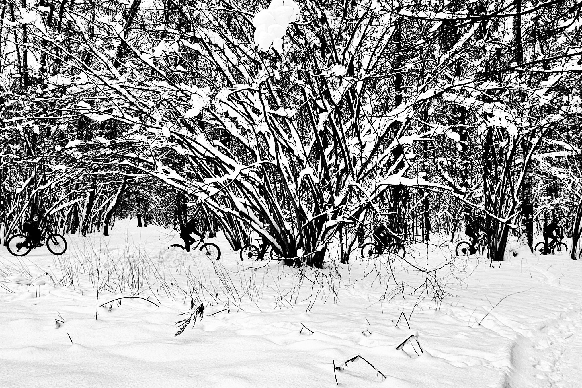 Чёрно-белая зима 25-26. Фотосессии и репортаж — Фотограф в Москве — Рина Серёгина