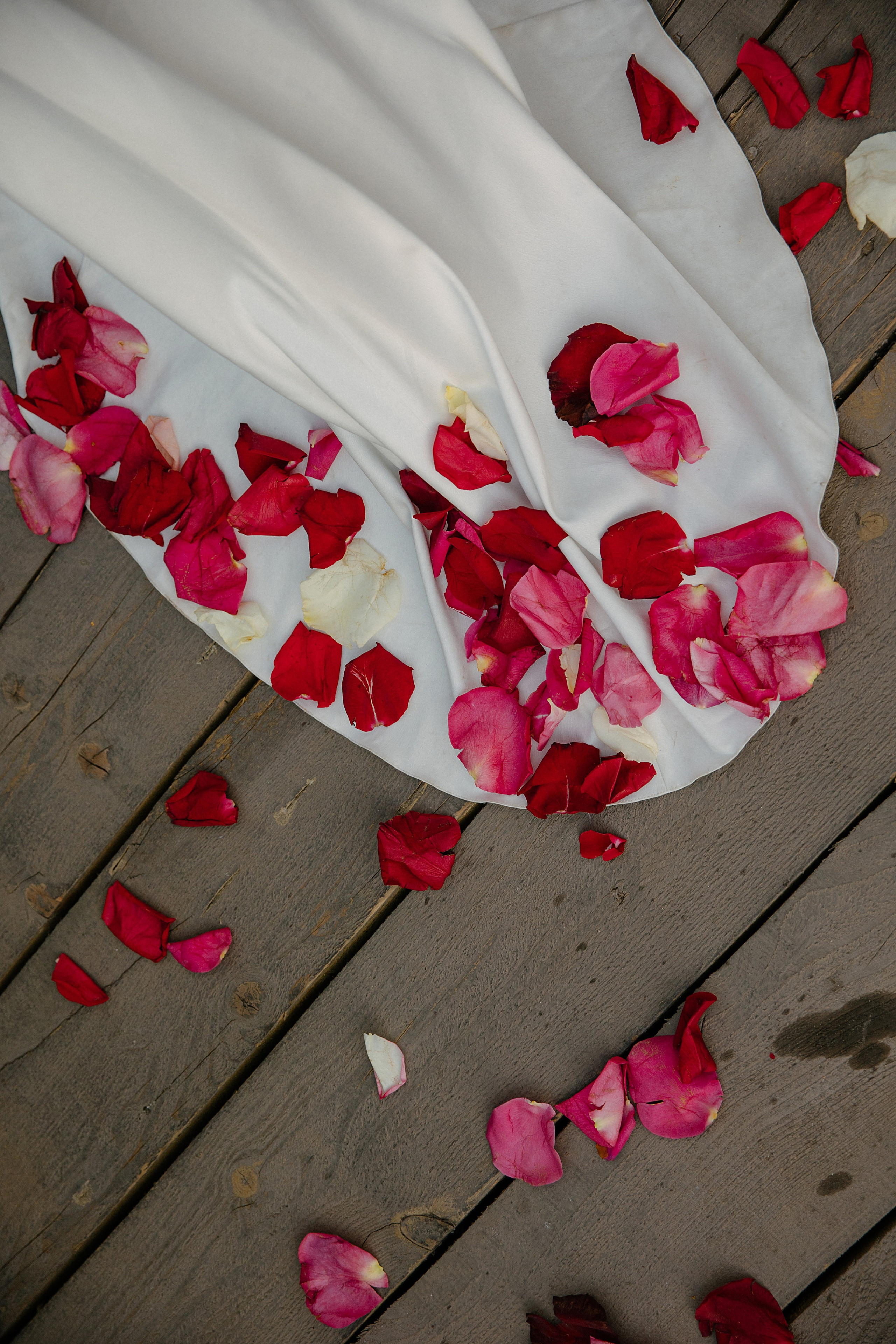 Камерная русско-американская свадьба, когда любовь побеждает все. Свадебный фотограф в Воронеже Алексей Логинов