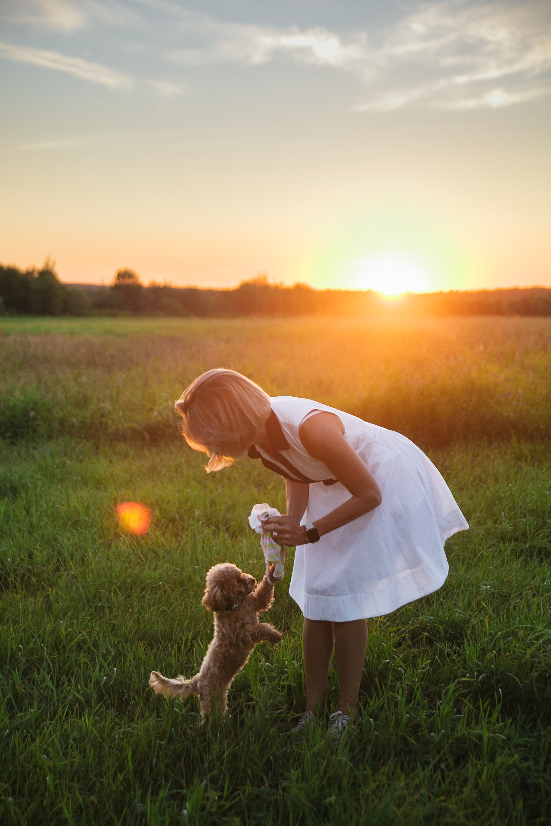 Девушка, закат, собака. Семейный фотограф, свадебный фотограф, женский портрет в Санкт-Петербу