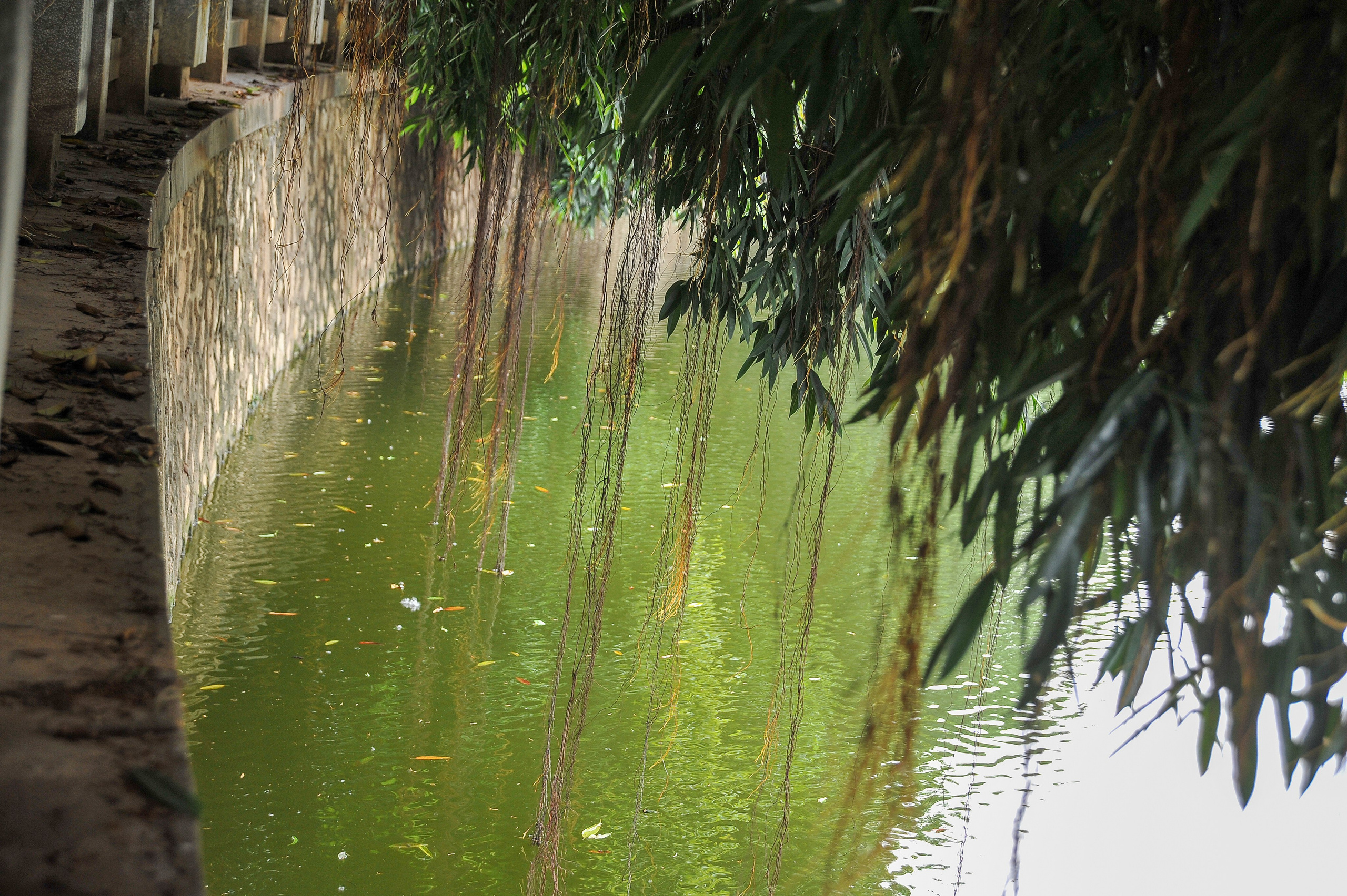 Южный город Нанинь