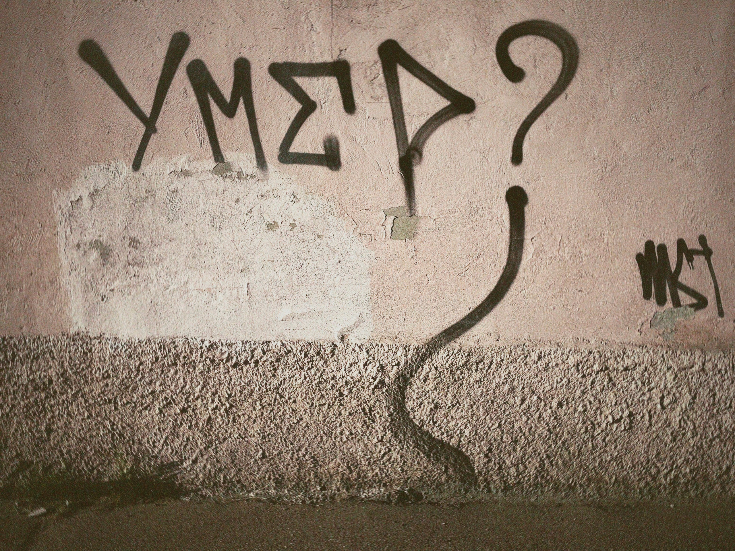 Street Caps. Alina Panover