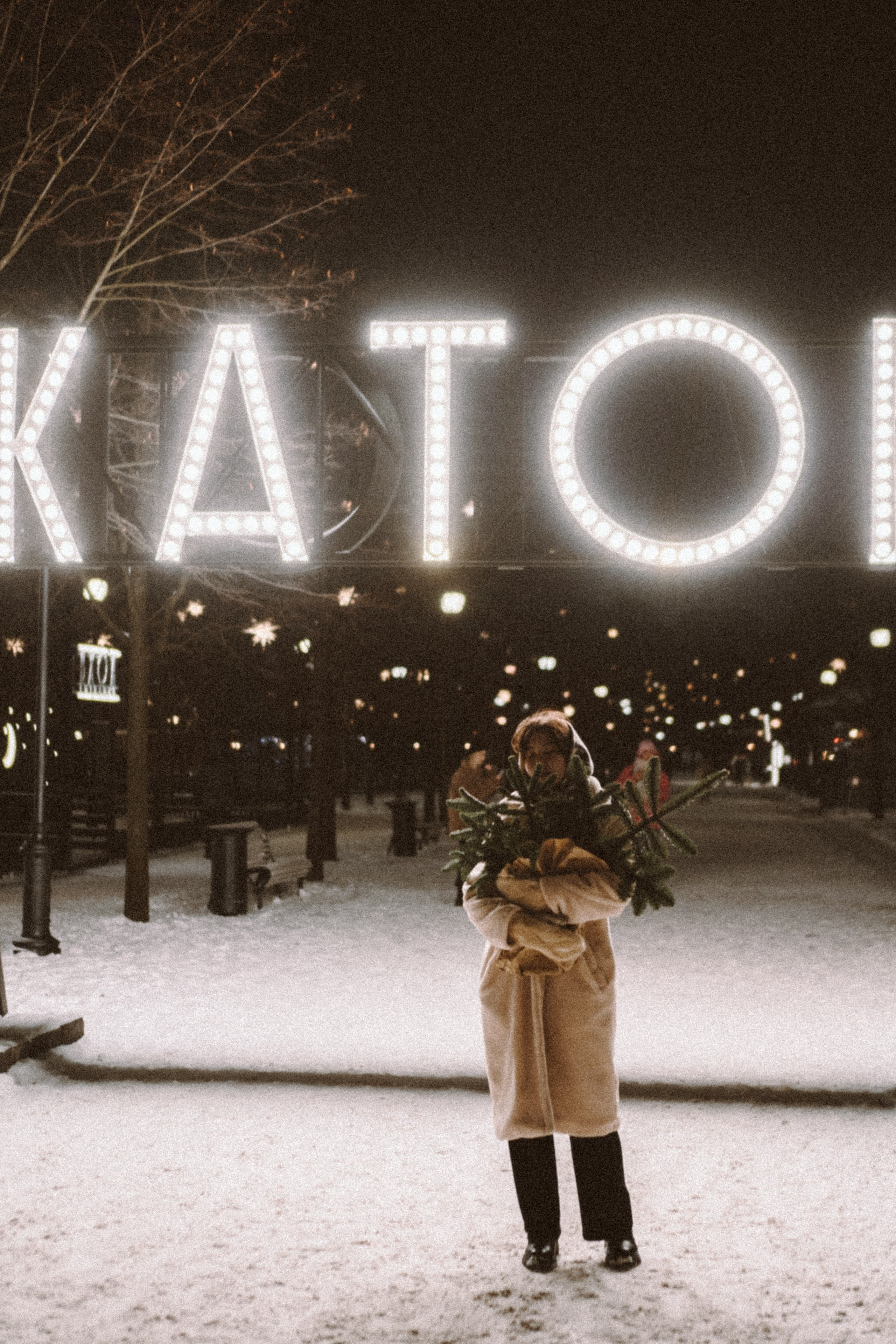 Зимняя сказка в Новой Голандии. Профессиональный фотограф, Санкт-Петербург — Виктория Богомолова