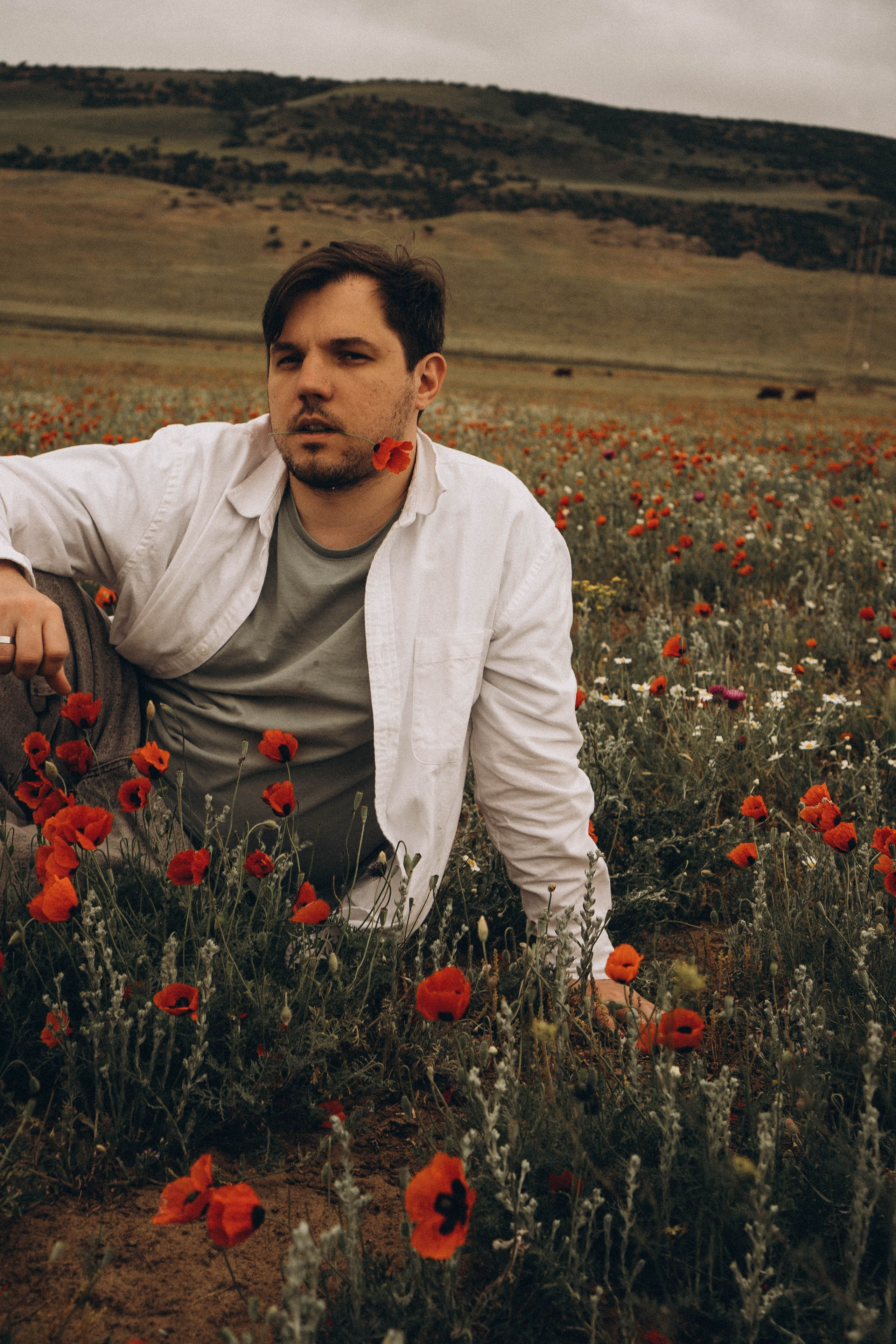 Маки. Профессиональный фотограф, Санкт-Петербург — Виктория Богомолова