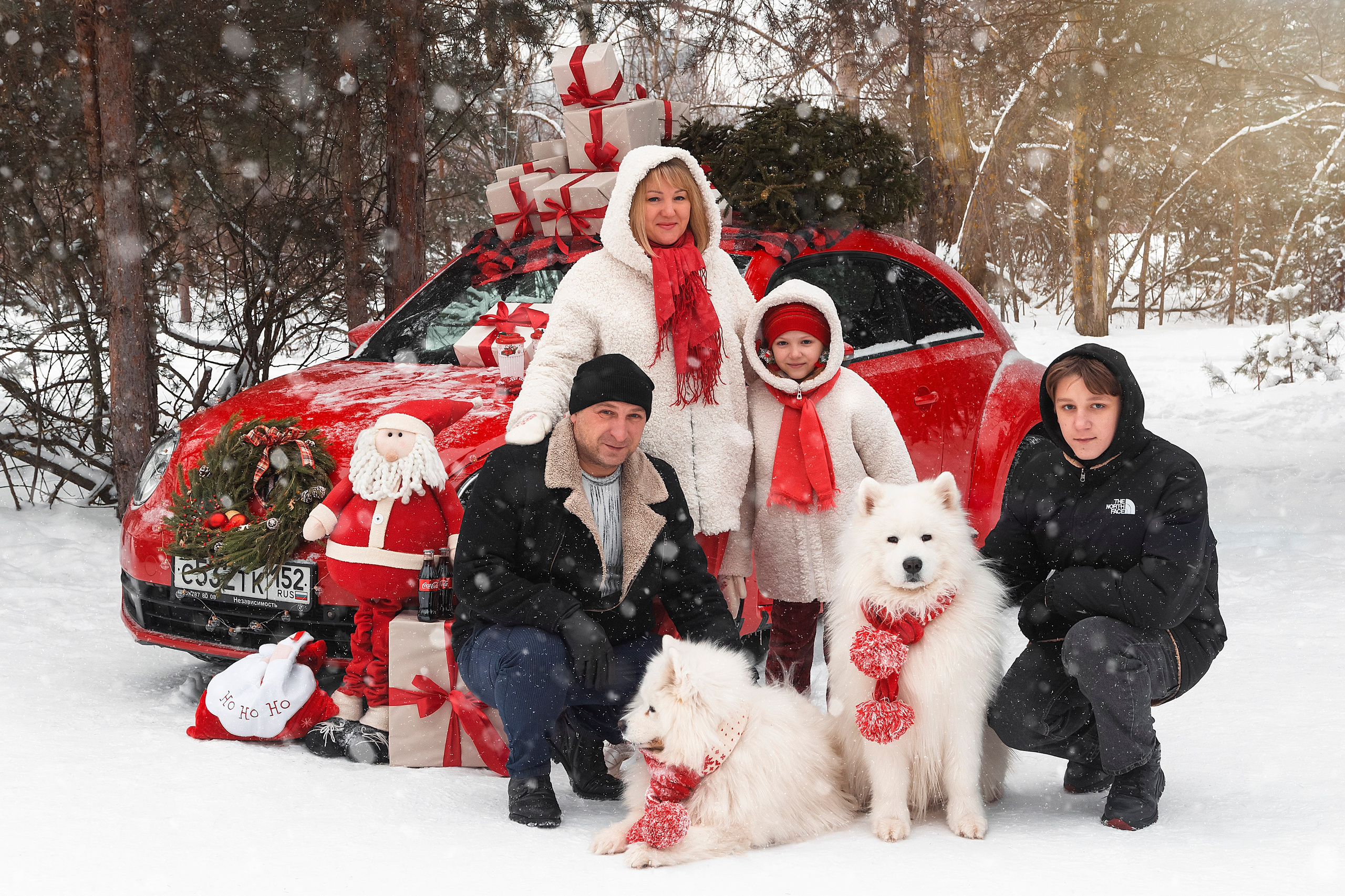 Новогодний красный жук. Фотограф Ольга Бобб Нижний Новгород