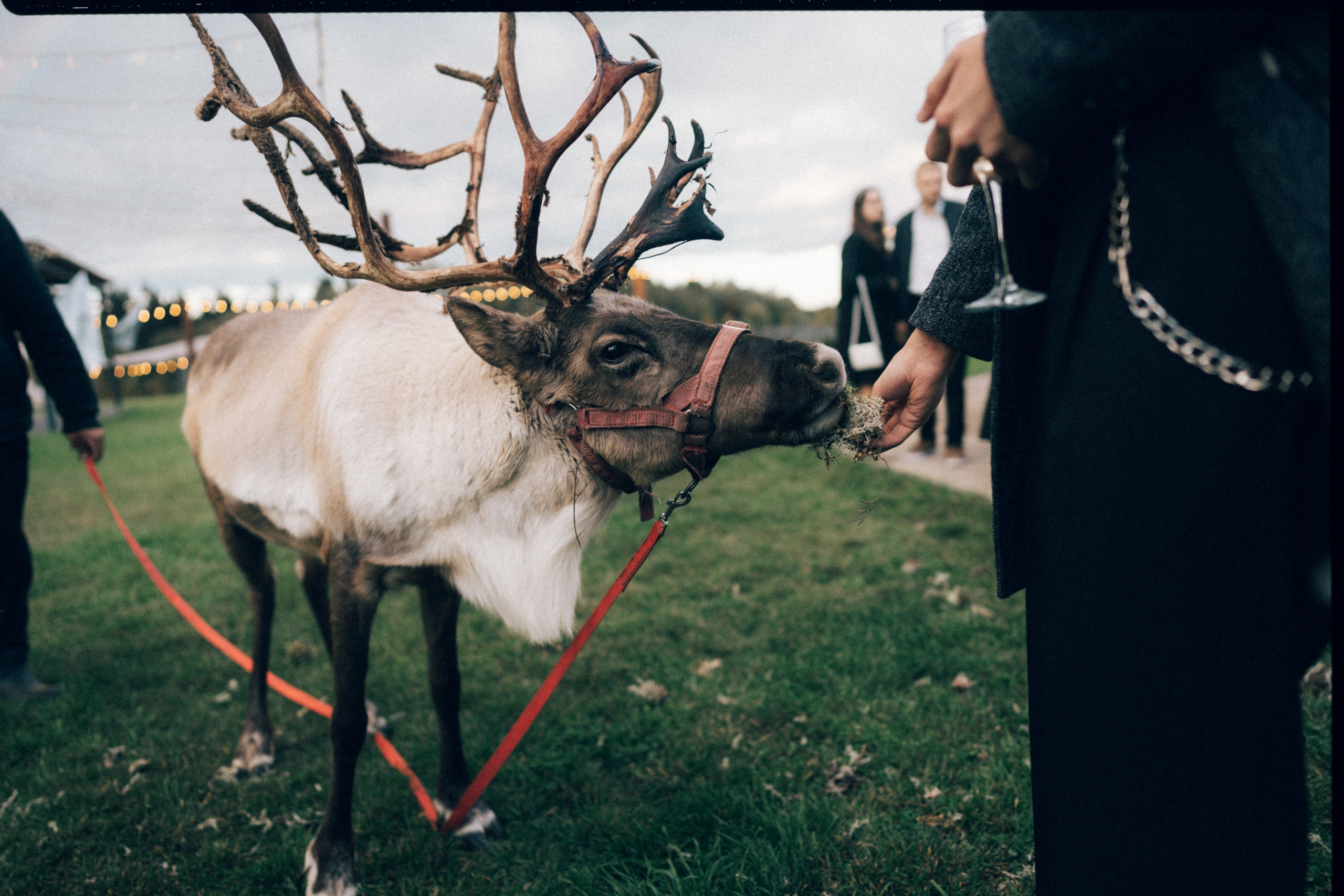Эрмитаж. Фотограф Ксения Калюжная