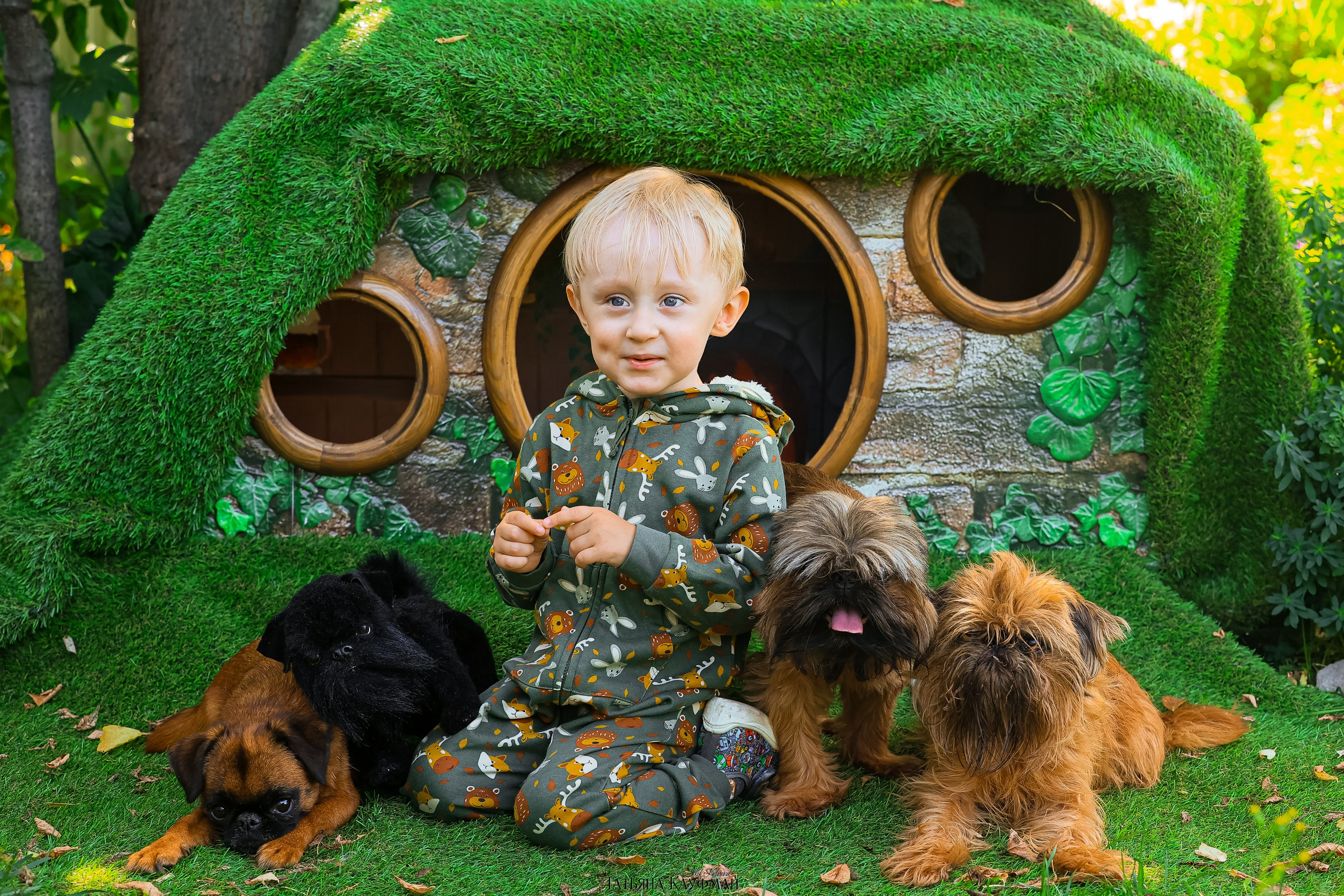 Домик для хоббитов, фотозона, властелин колец, шир, хоббиты, гномы, брюссельский гриффон, малый брабансон, фотосессия, ручная работа, фотограф анималист, фотограф Новосибирск