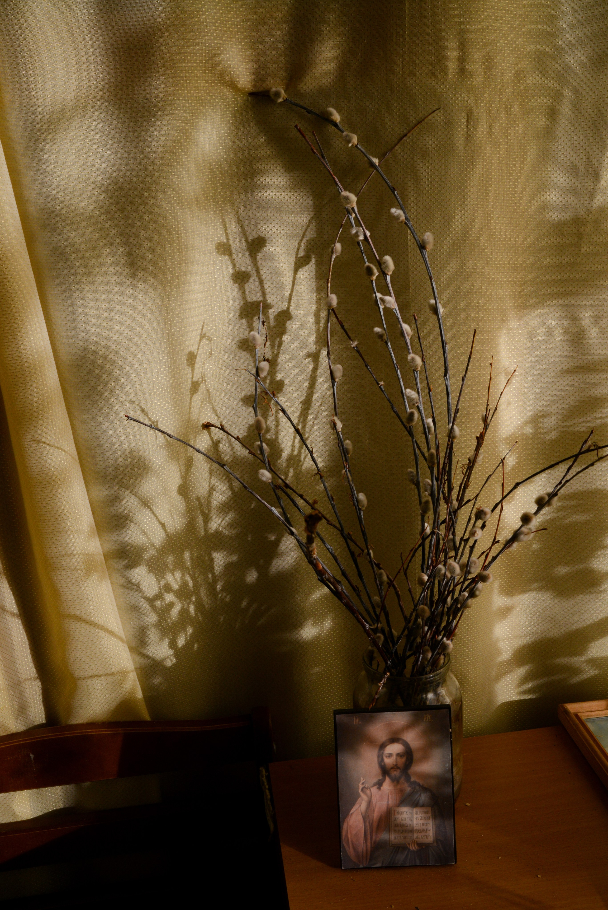 Singles 2. Alyona Kochetkova | Photographer and photography educator