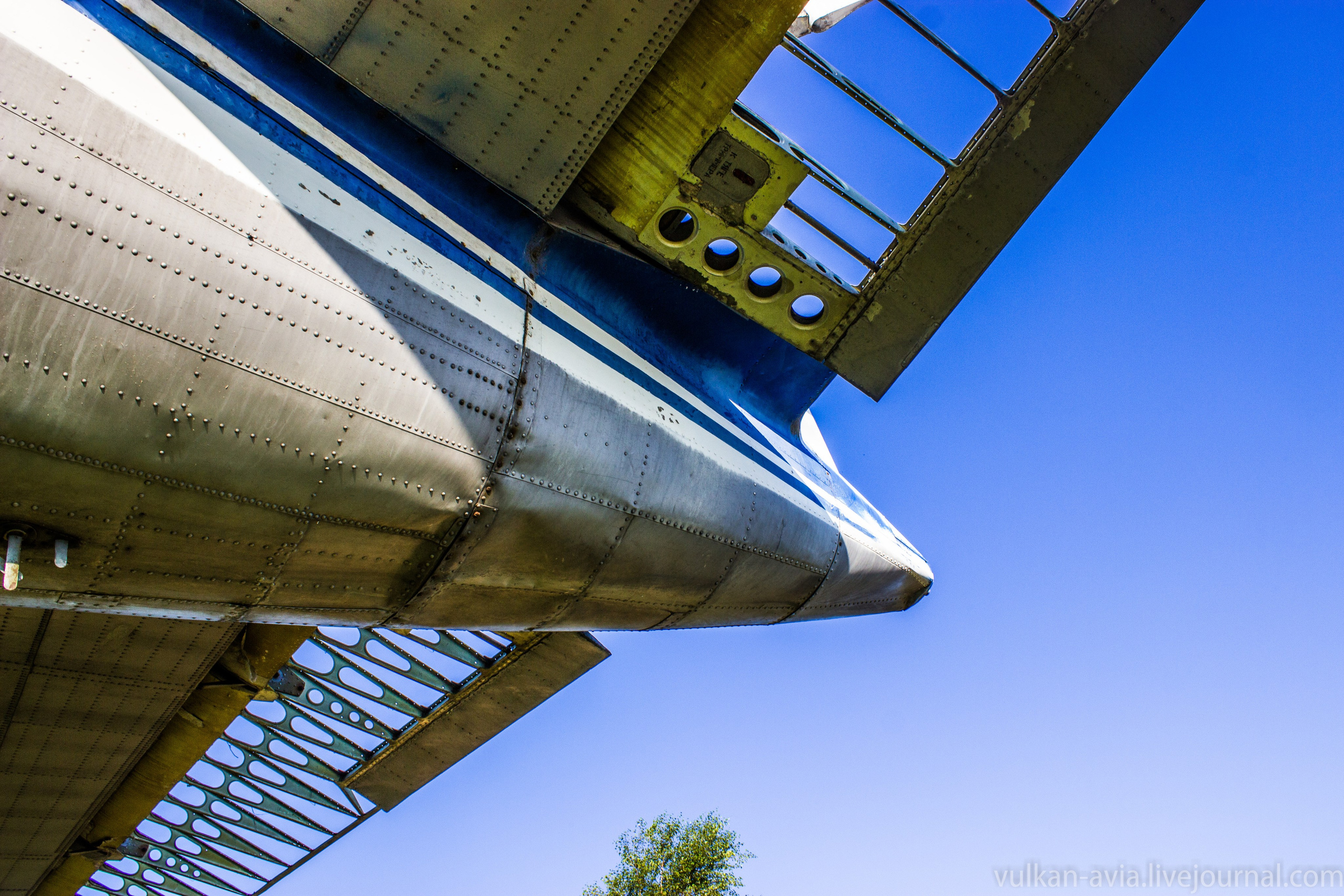 Ил-14 (Пермь, Фролы). Фотоальбом показывающий увлекательный мир авиации и мир медведей Андрея Иванова