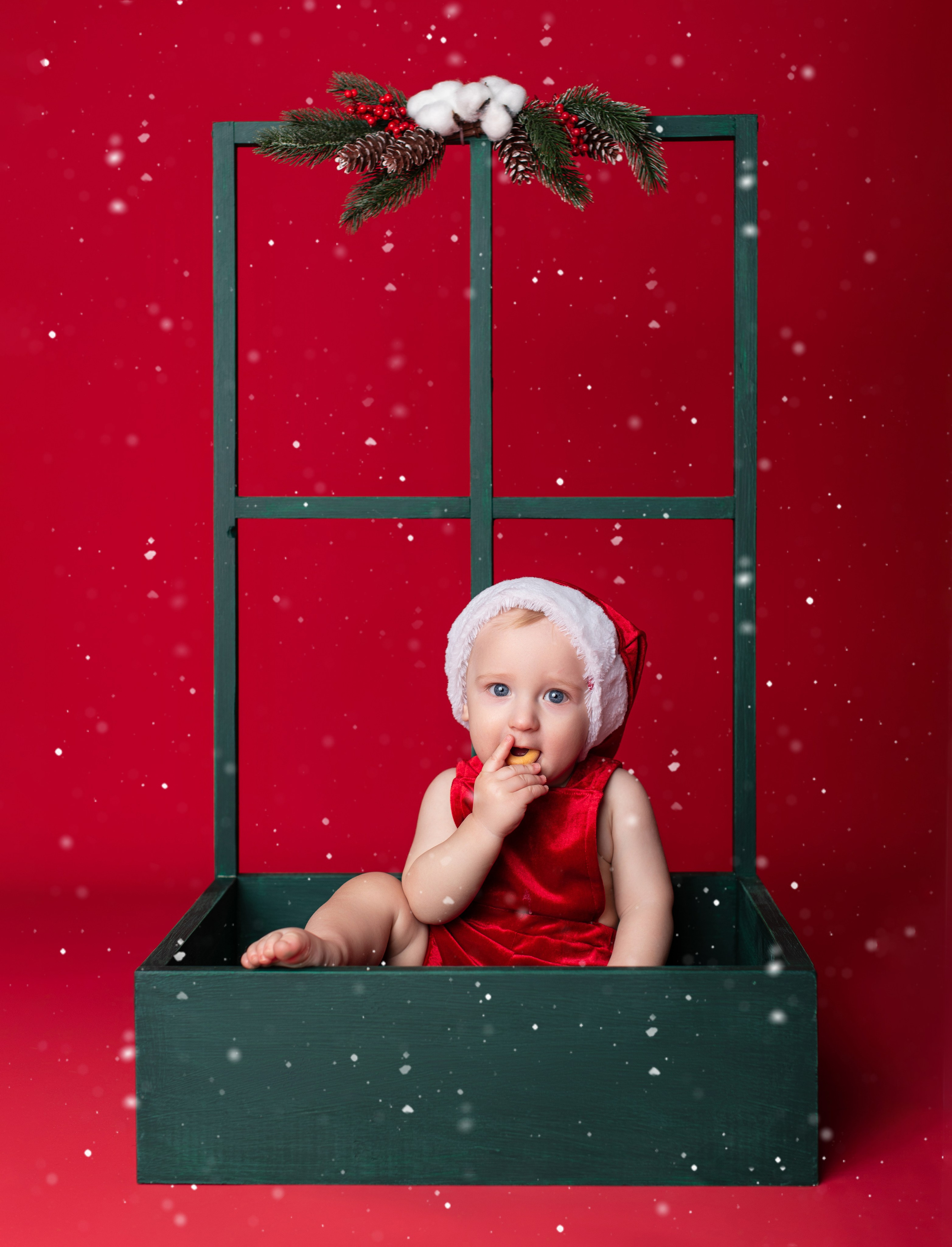 Новый год. Фотограф новорожденных и беременности Сергиев Посад Усачева Ирина