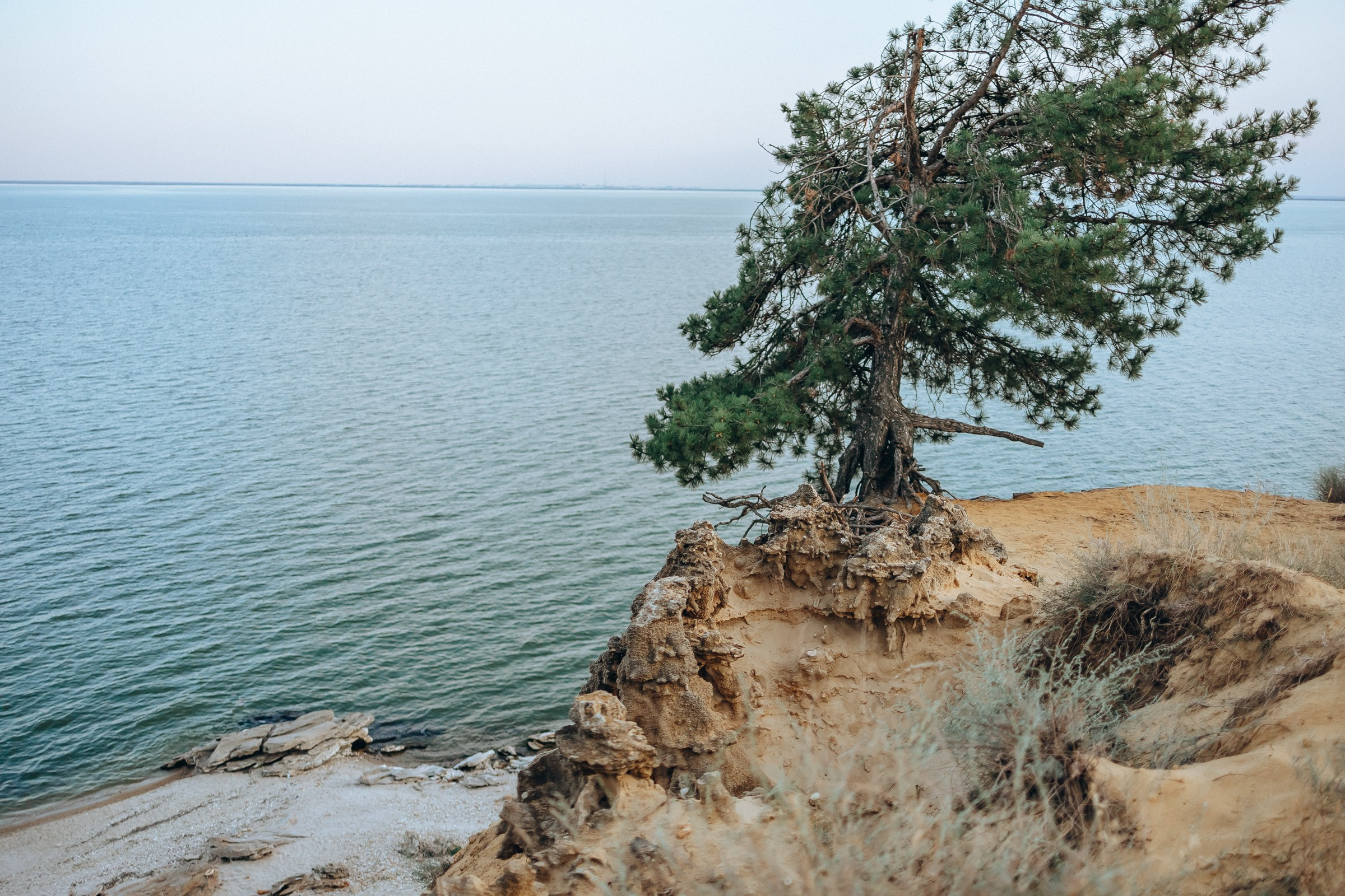 Семейная фотосессия. Семейный фотограф в Волгодонске Краченцева Анна