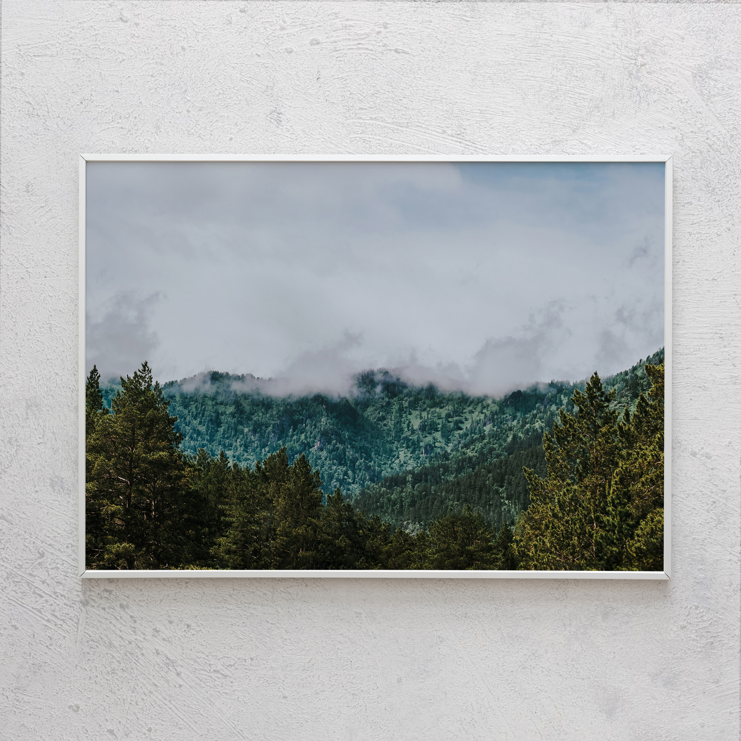 Печать интерьерных фотографий Кемерово