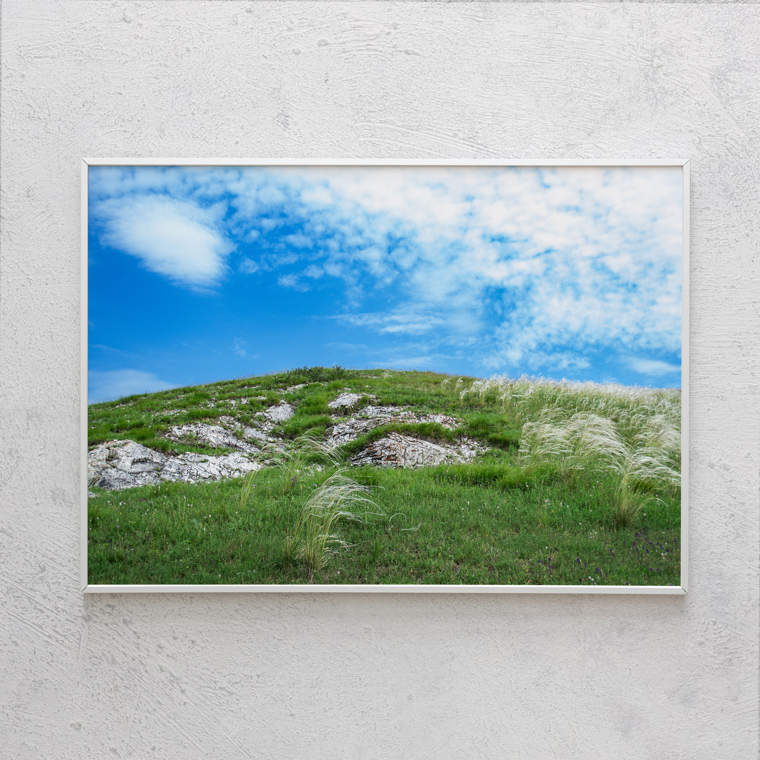 Печать интерьерных фотографий Кемерово