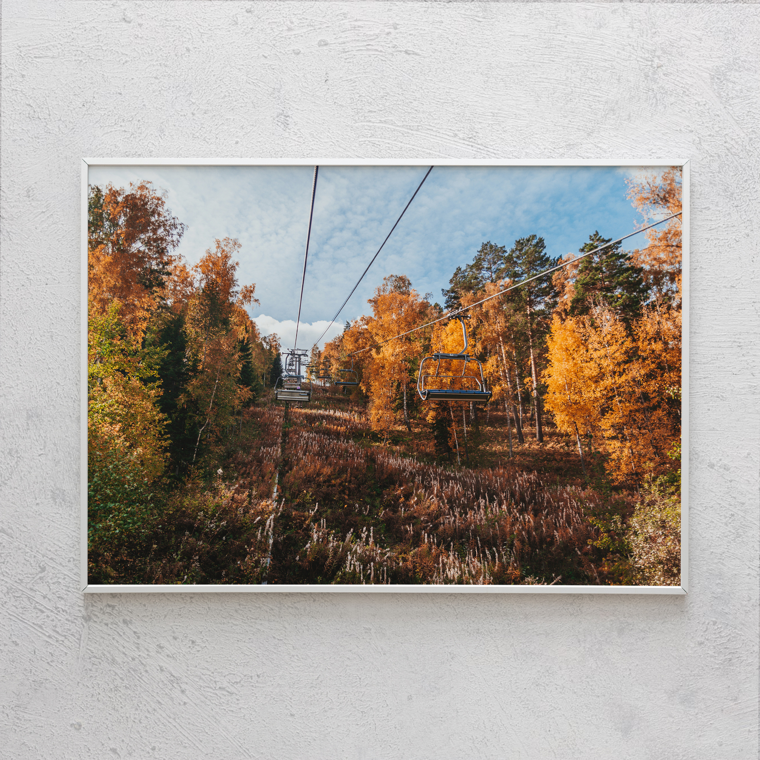 Печать интерьерных фотографий Кемерово